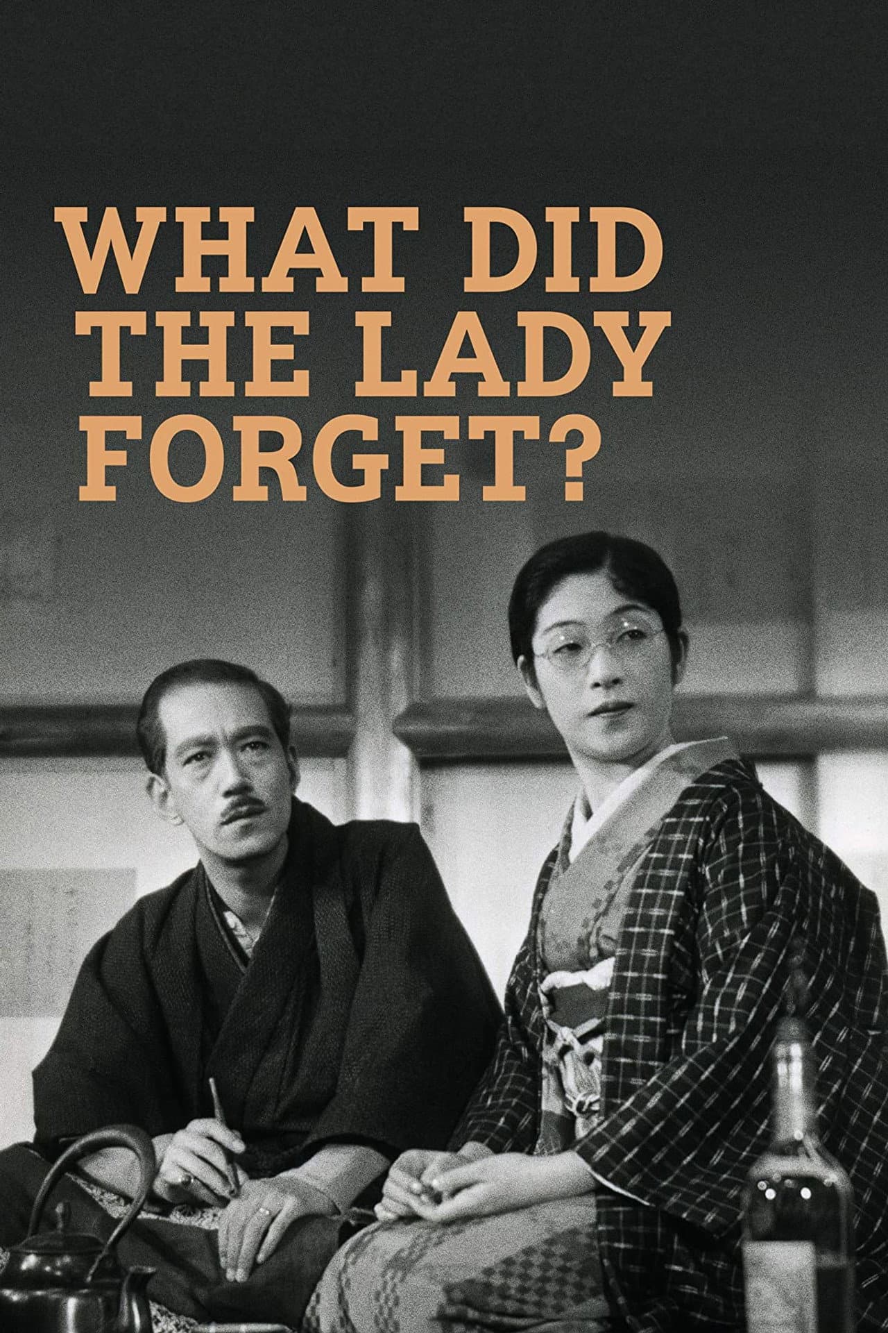 What Did the Lady Forget? preview 2