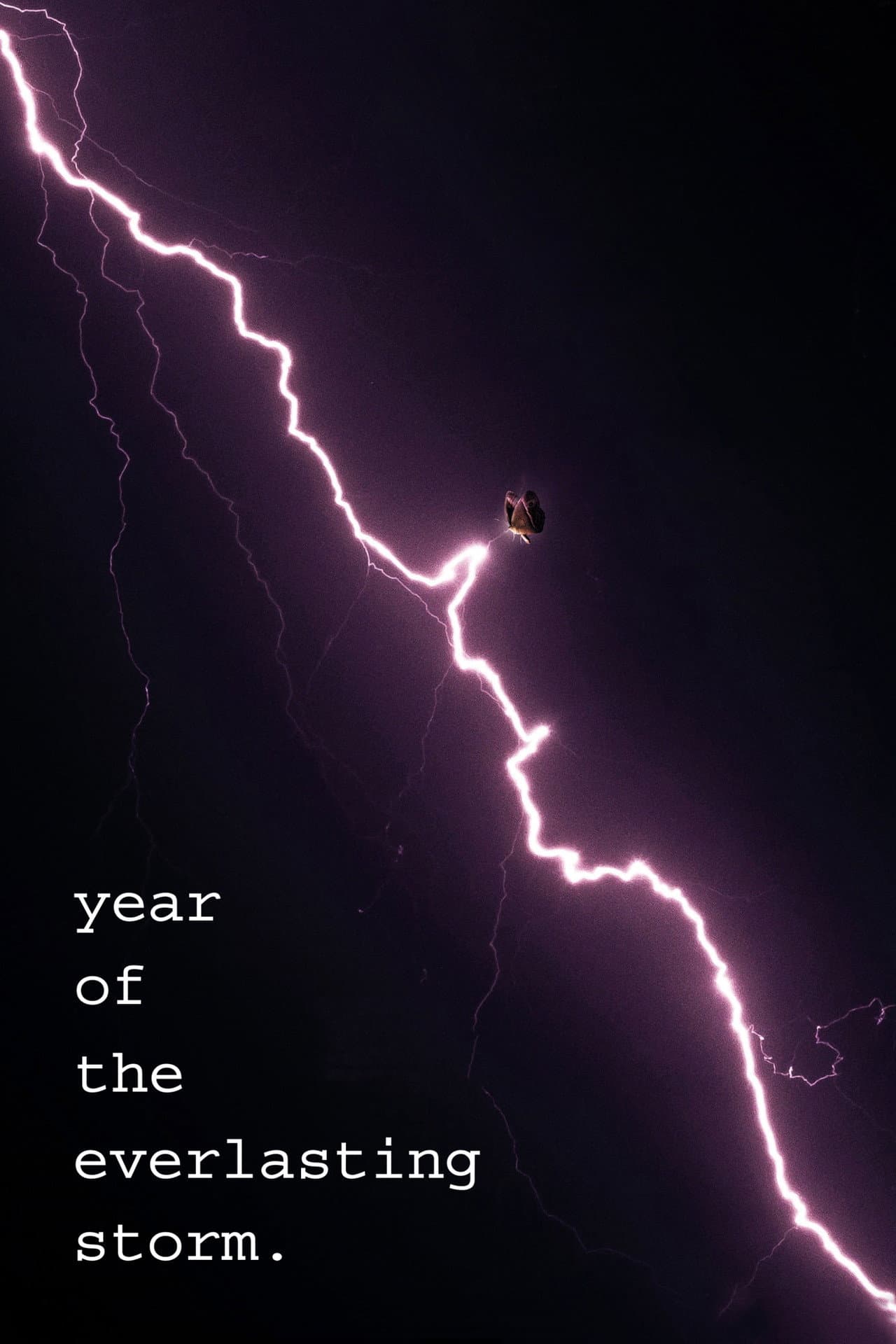 The Year of the Everlasting Storm preview 2