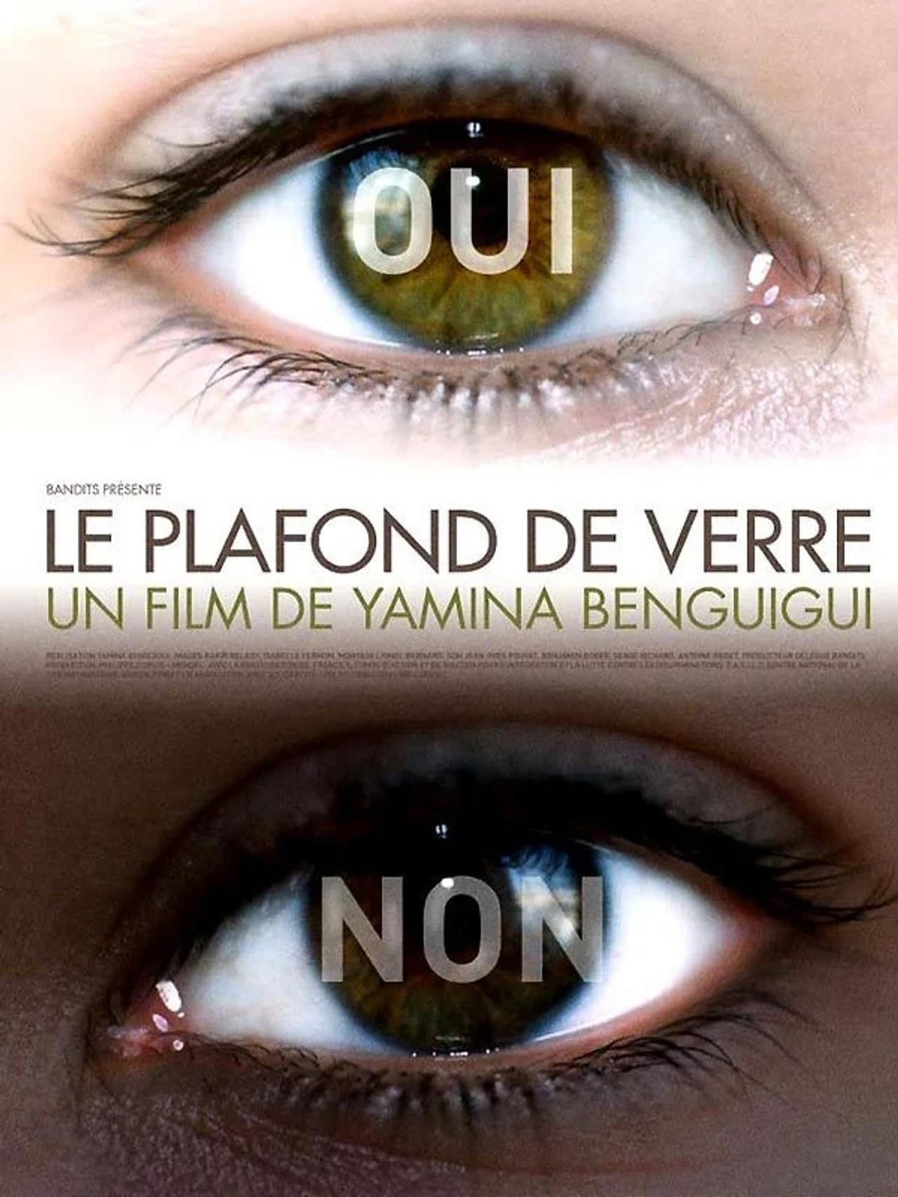 Le plafond de verre preview 1