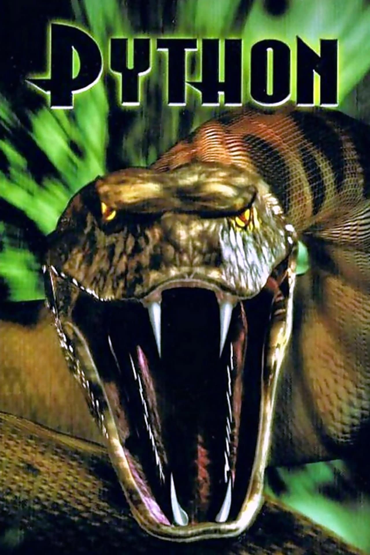 Python preview 2