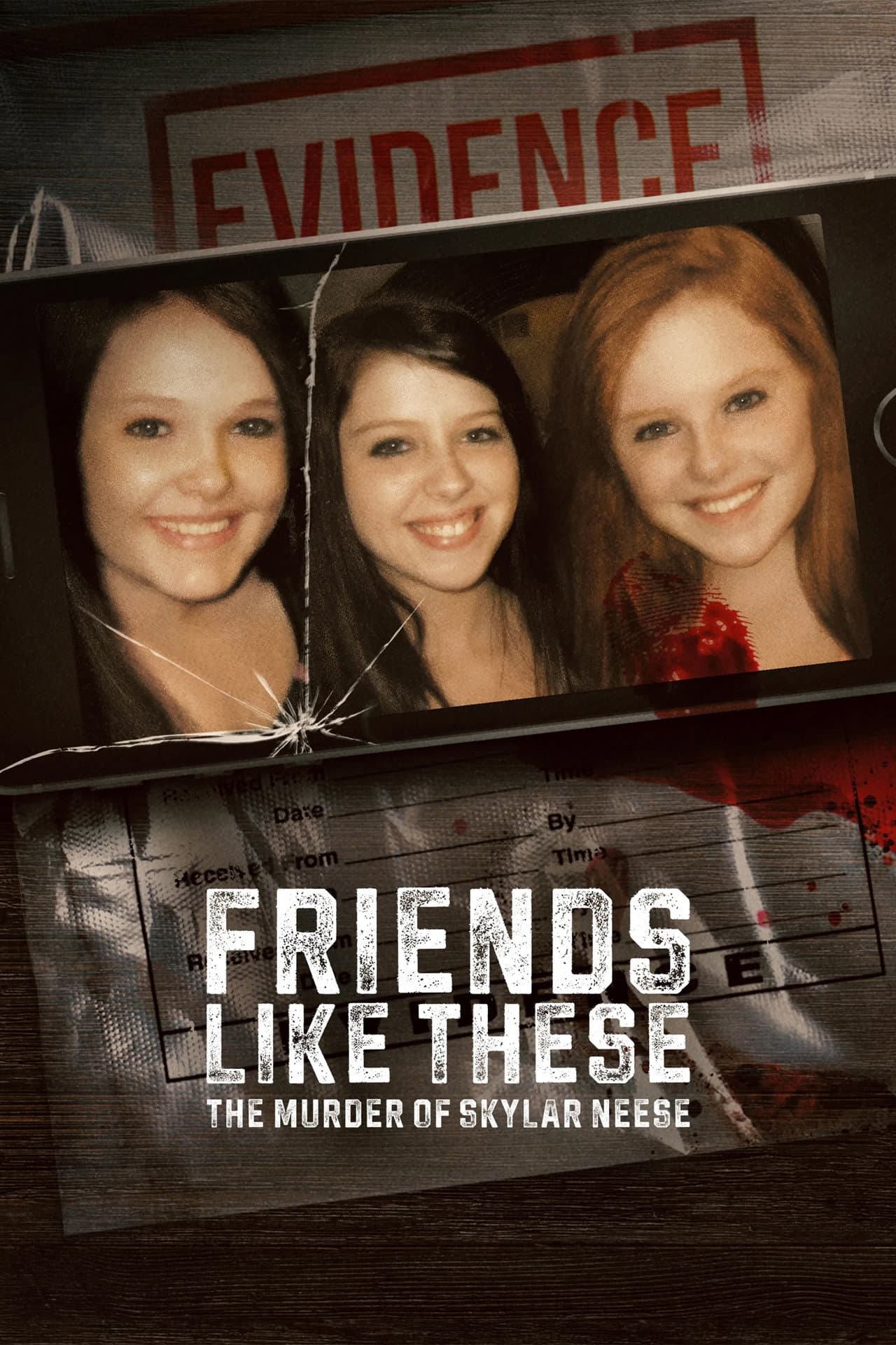 Friends Like These: The Murder of Skylar Neese preview 2