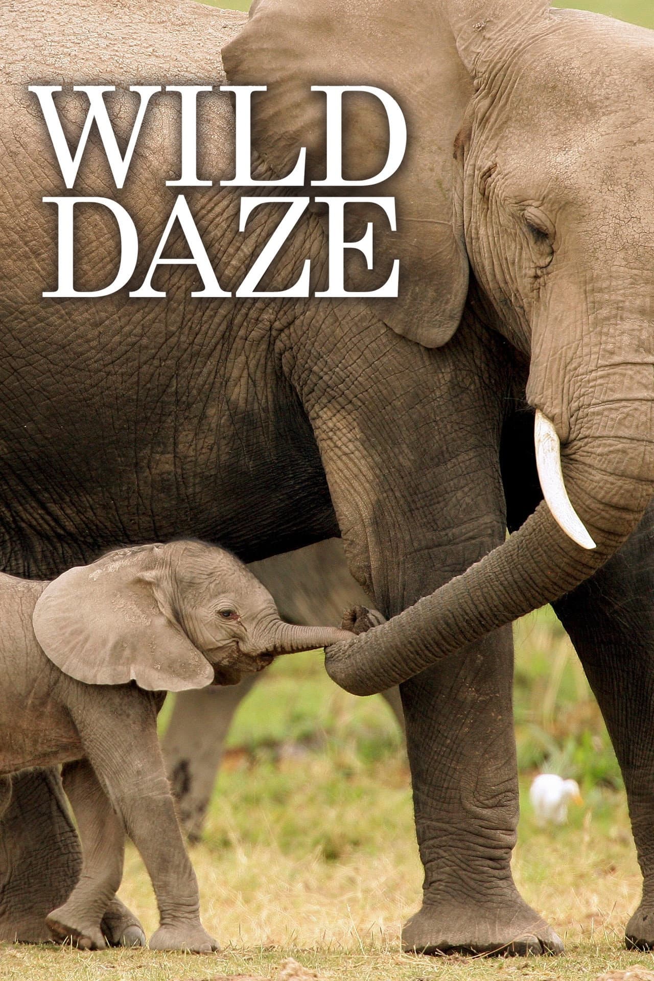Wild Daze preview 2