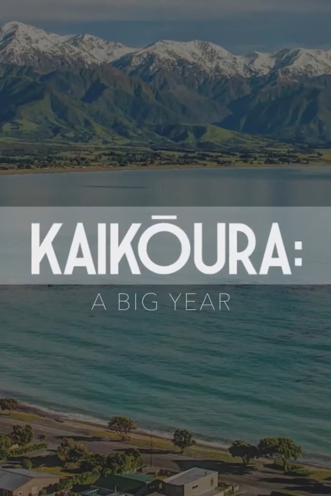 Kaikōura: A Big Year preview 2