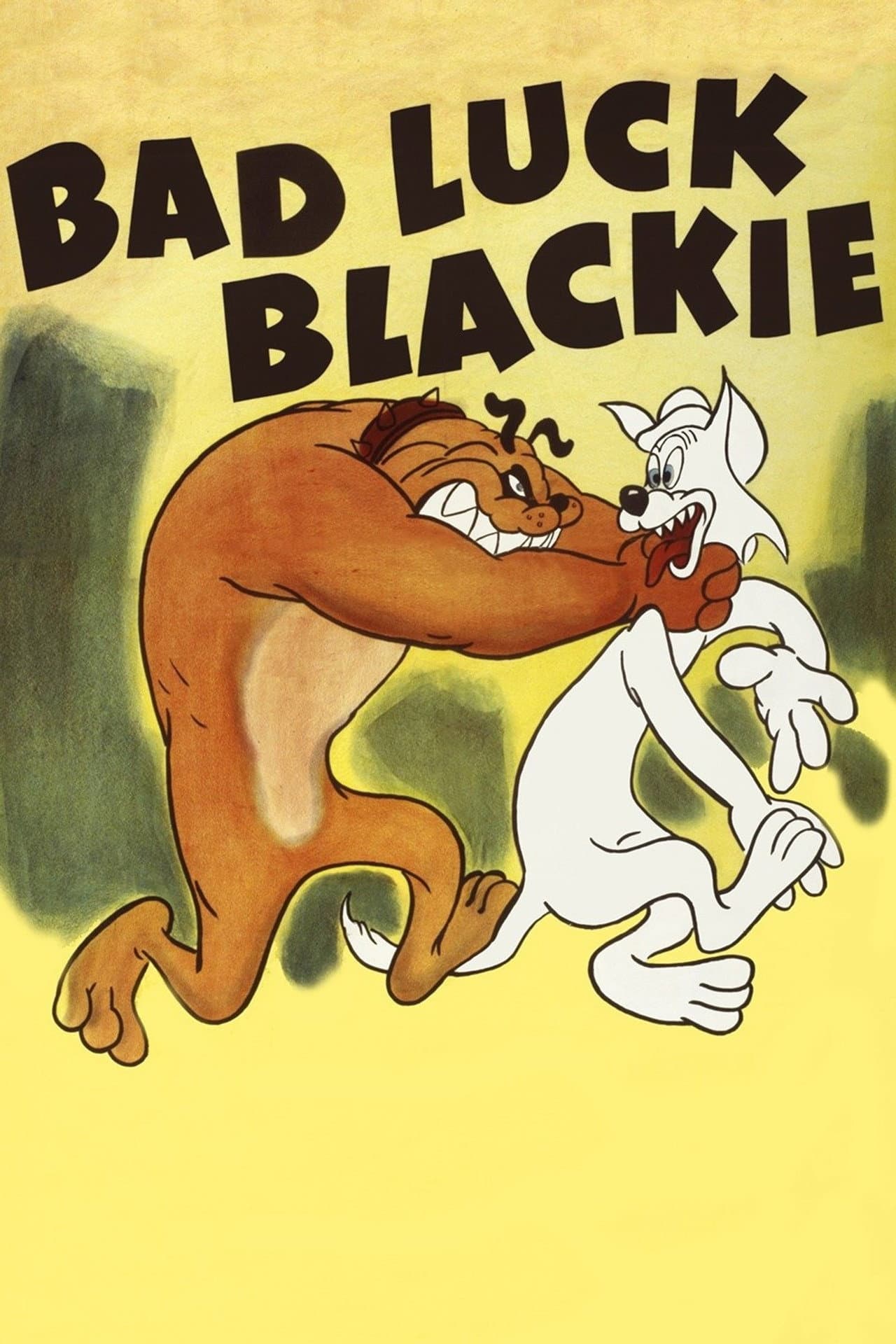 Bad Luck Blackie preview 2