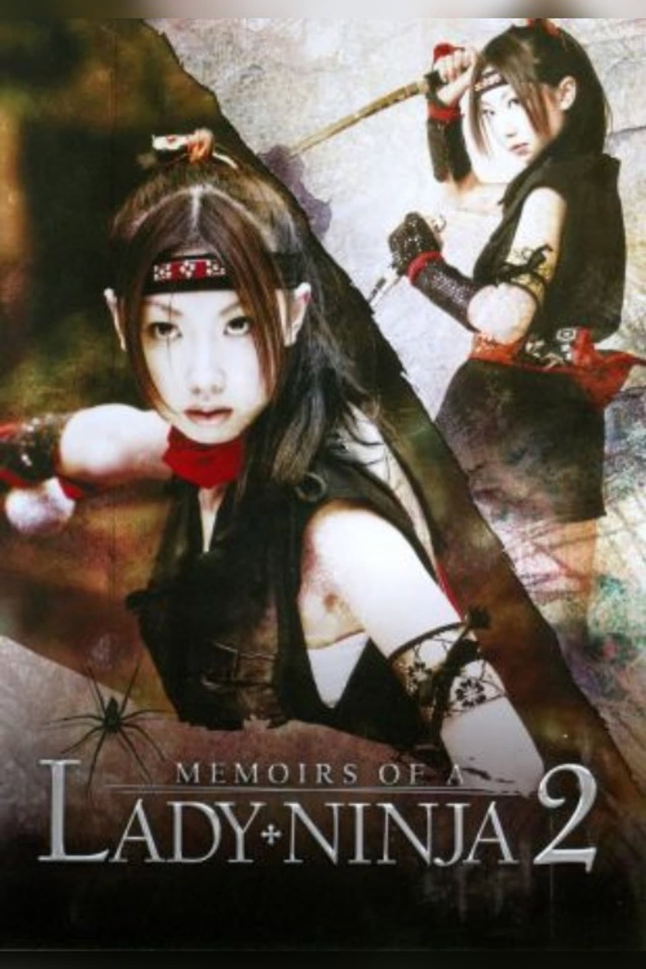 Memoirs of a Lady Ninja 2 preview 2