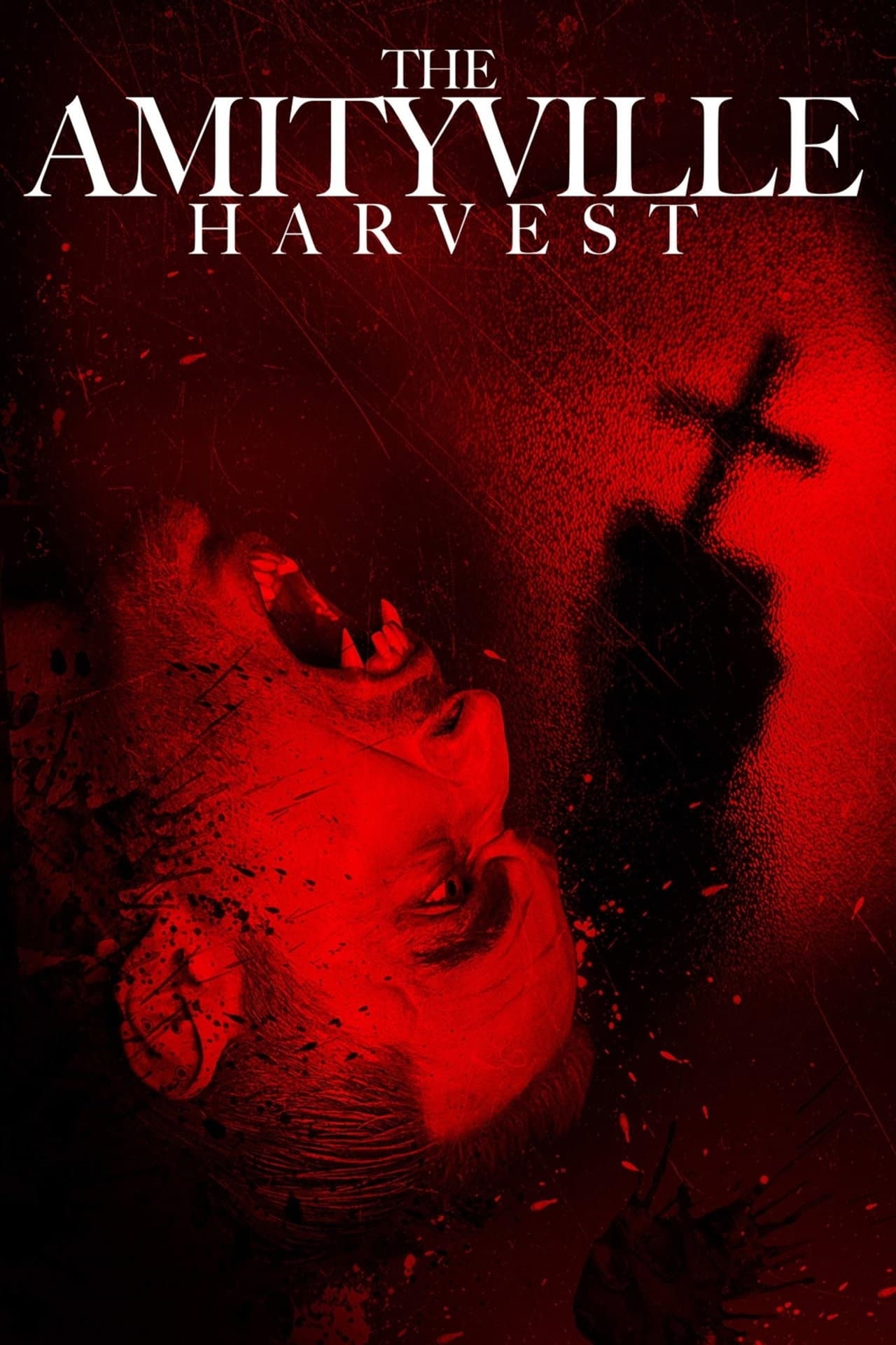 The Amityville Harvest preview 2