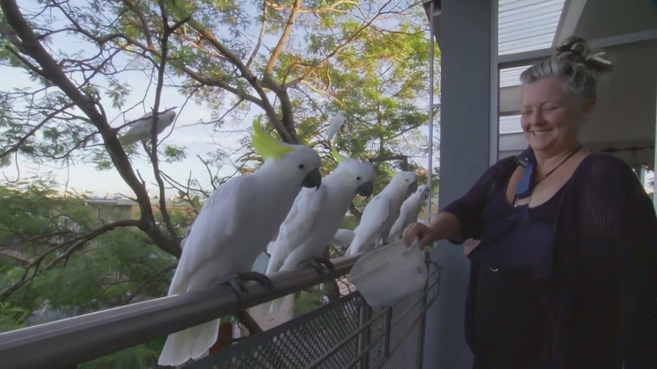 Planet Parrot
