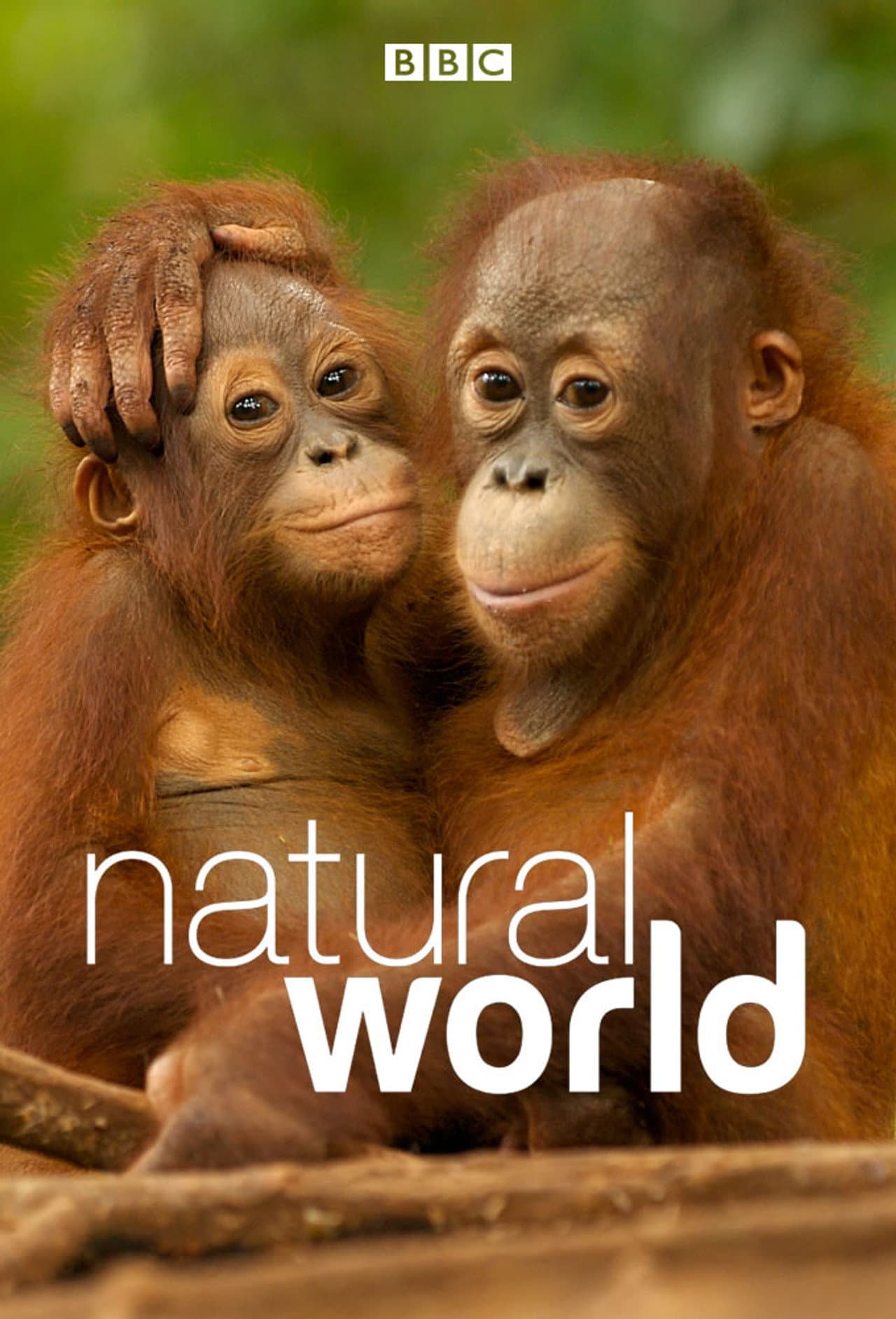 Natural World preview 2