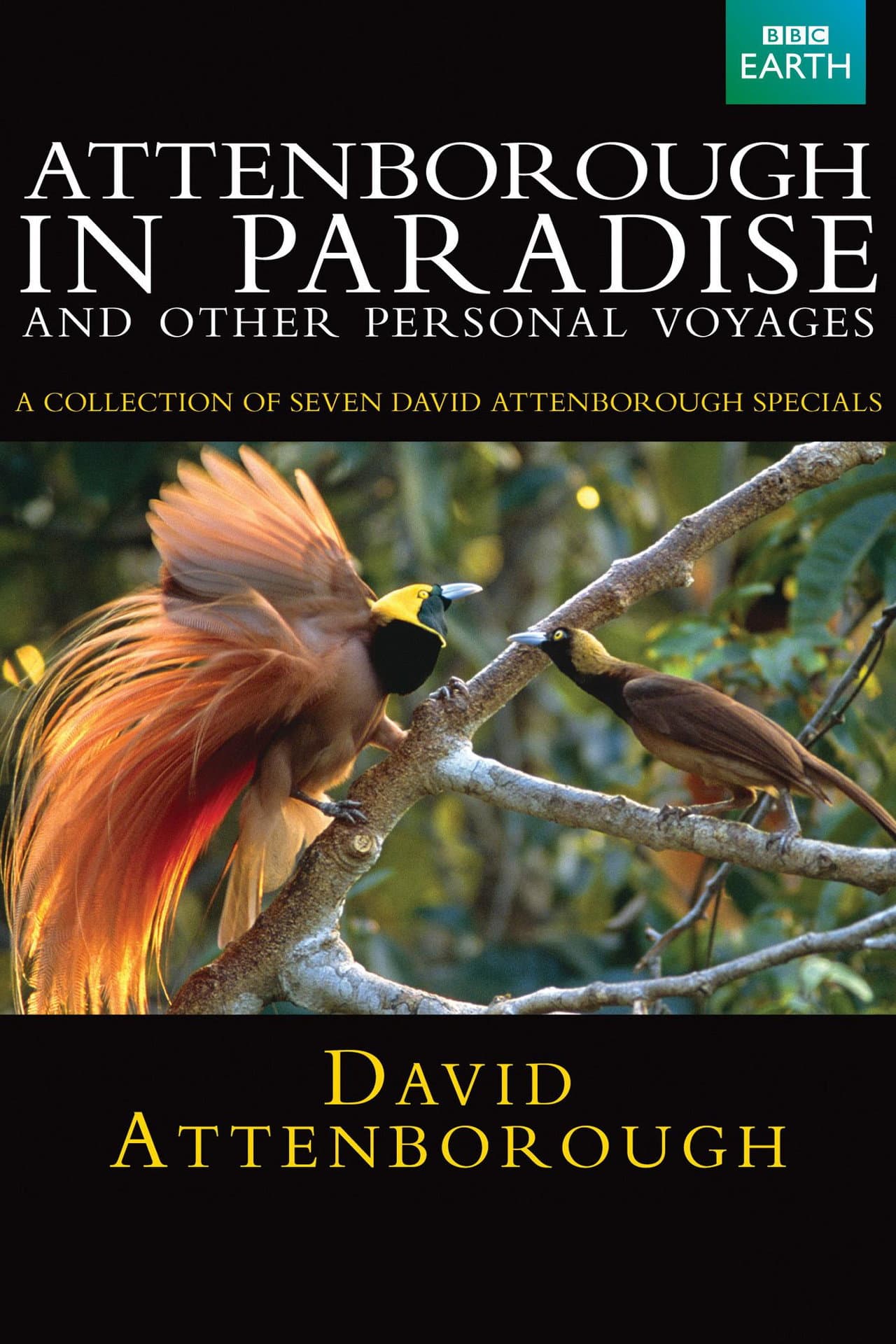 Attenborough in Paradise preview 2