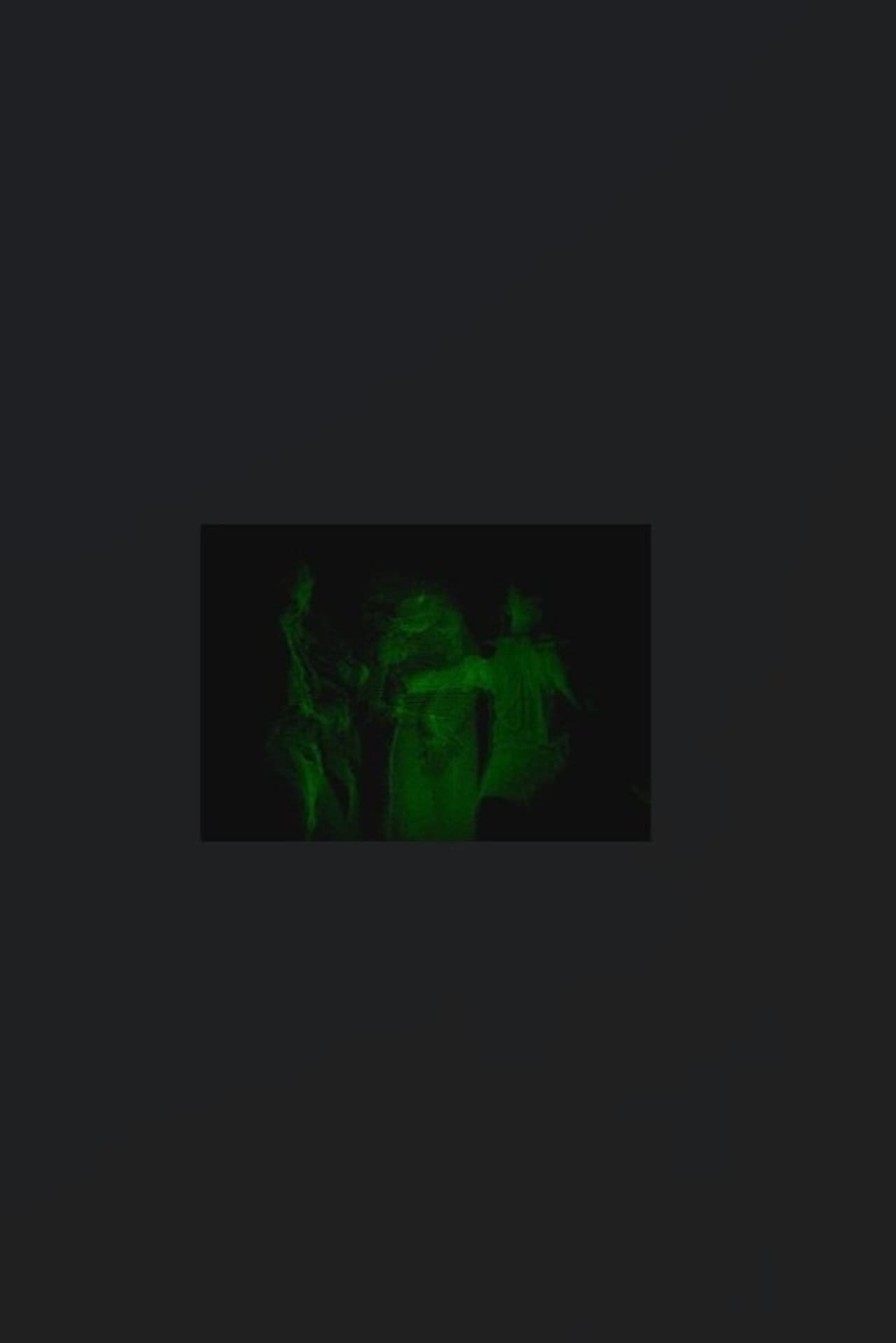 Nuvem preview 1