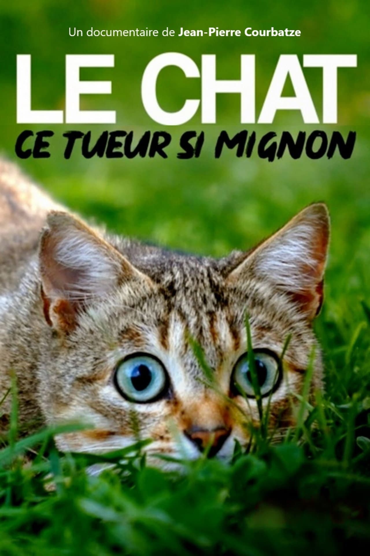 The Cat: A Cuddly Killer preview 2