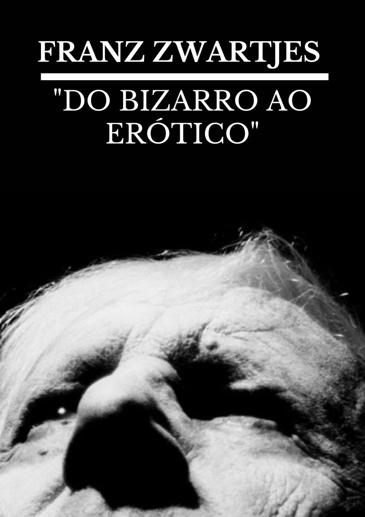 FRANZ ZWARTJES : "DO BIZARRO AO ERÓTICO" preview 2