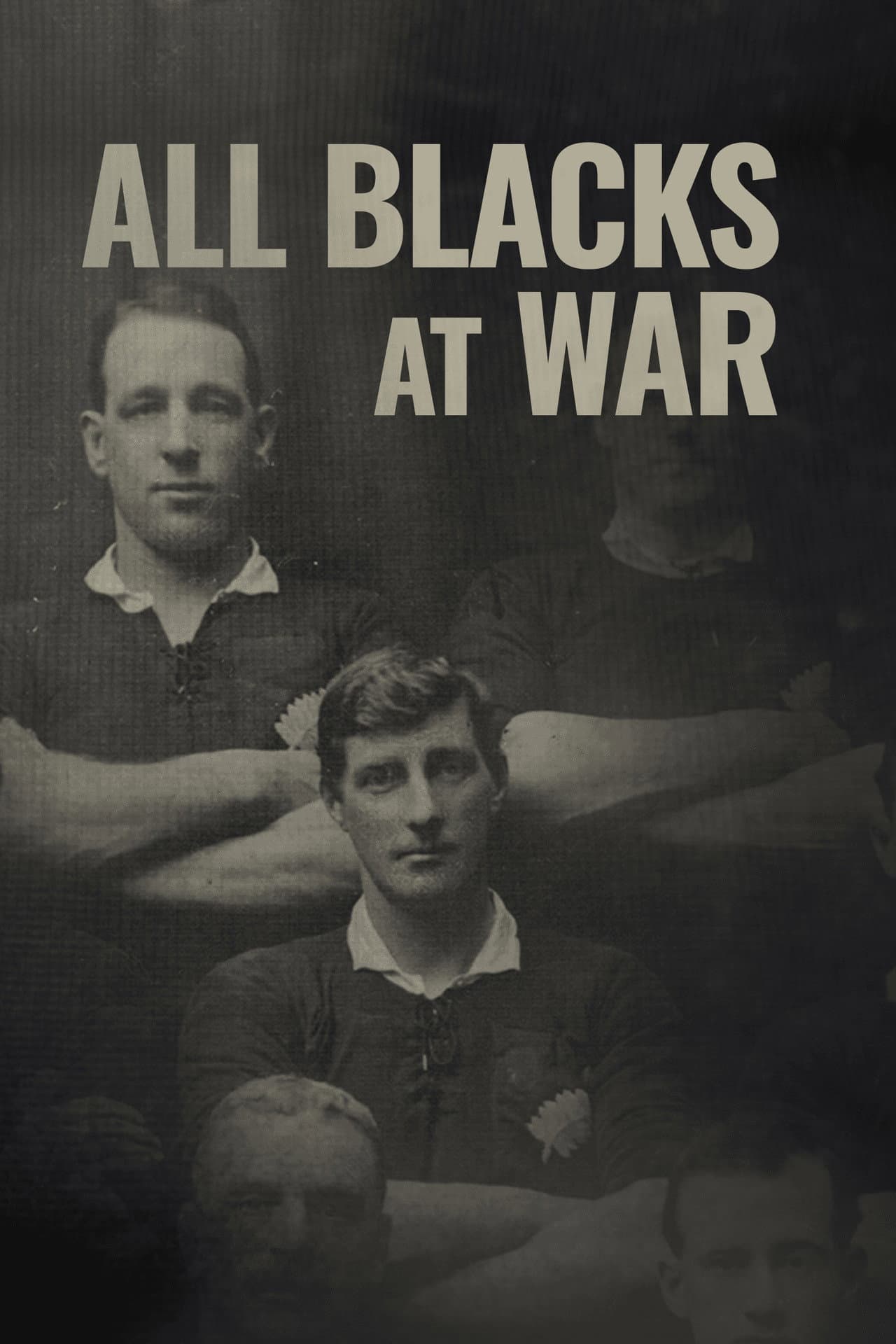 All Blacks at War preview 2