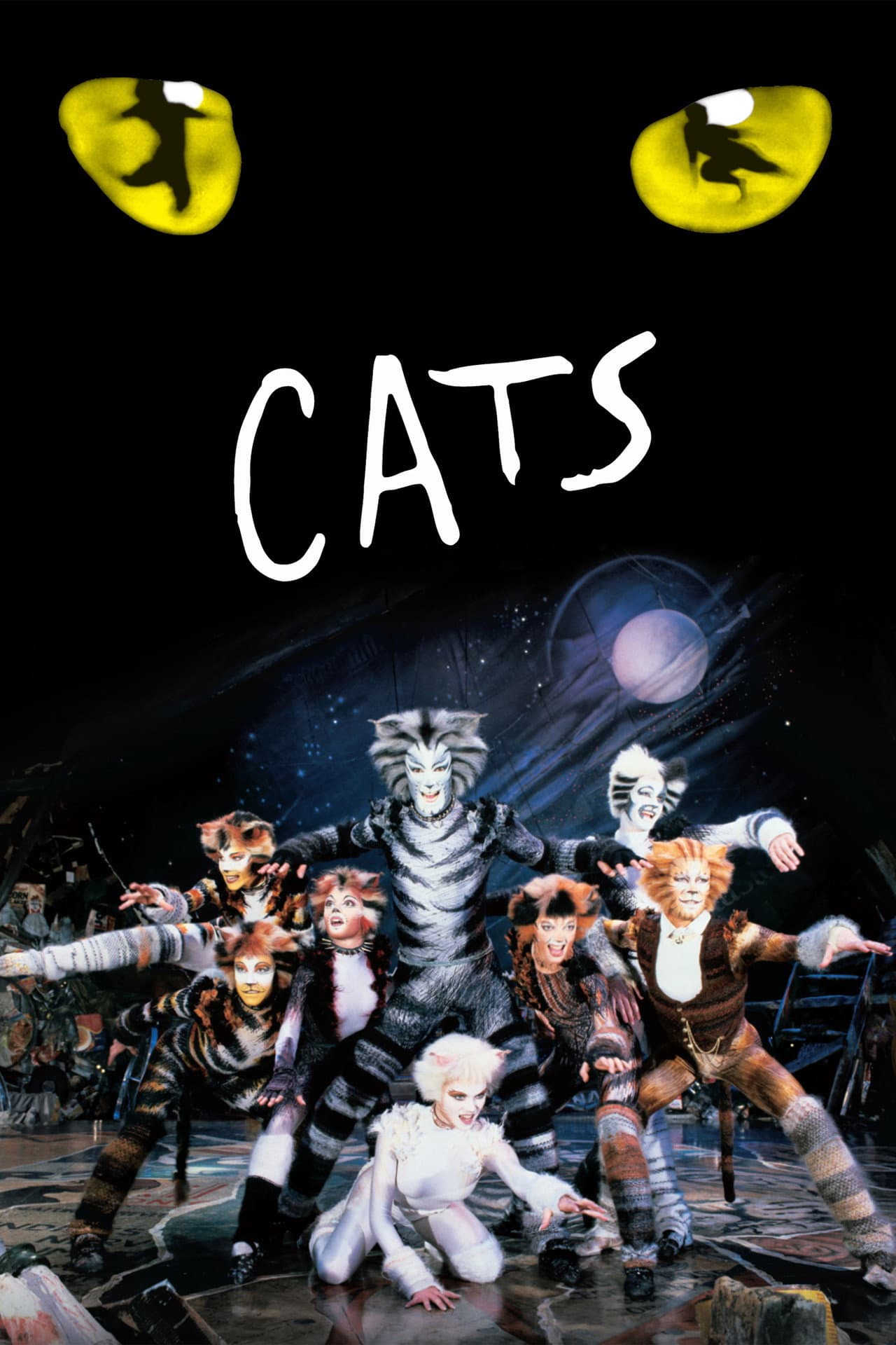 Cats preview 2