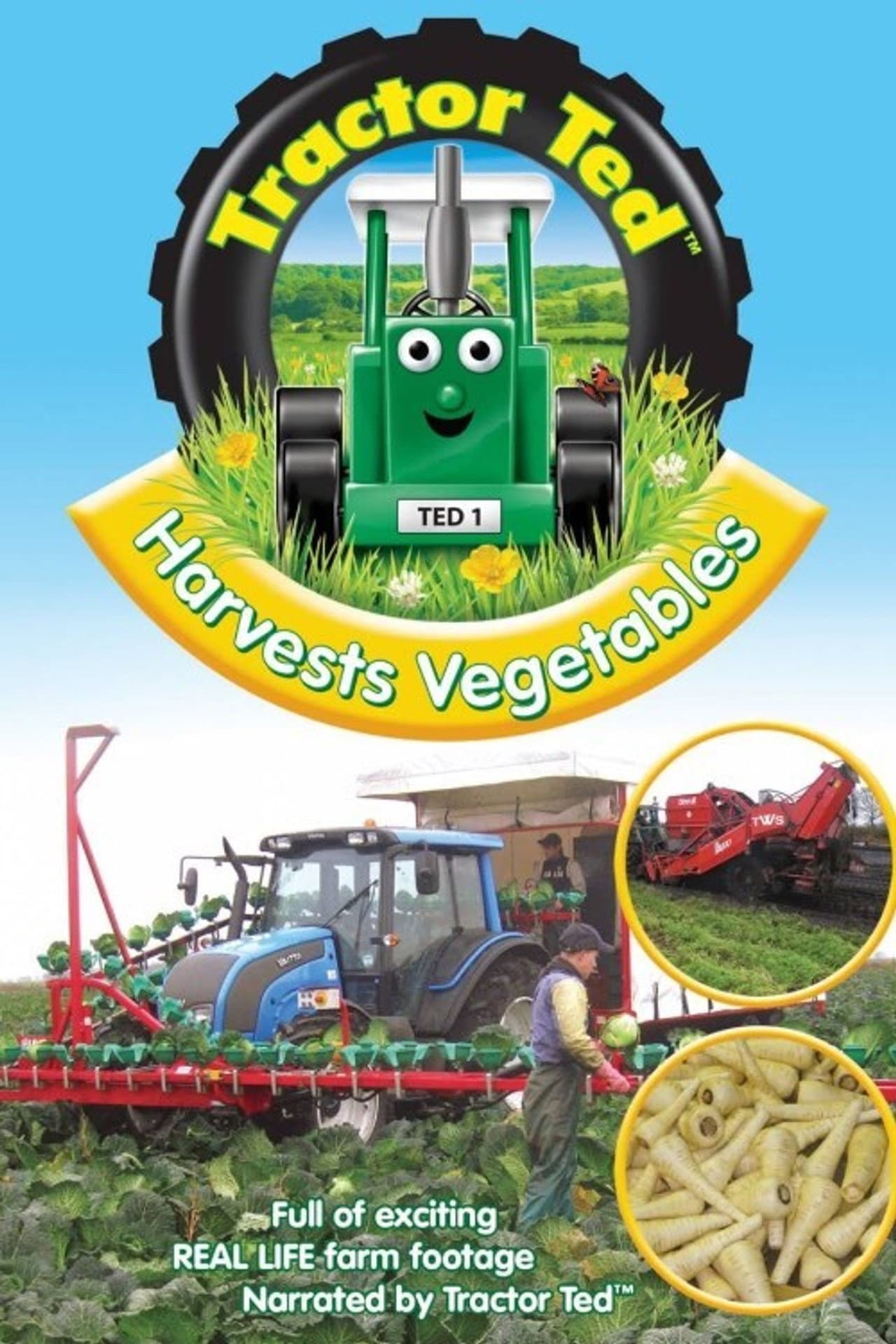 Tractor Ted Harvests Vegetables preview 1