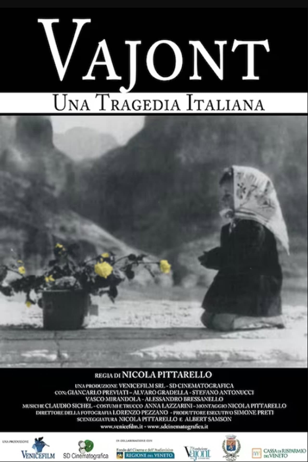 Vajont - Una tragedia italiana preview 2