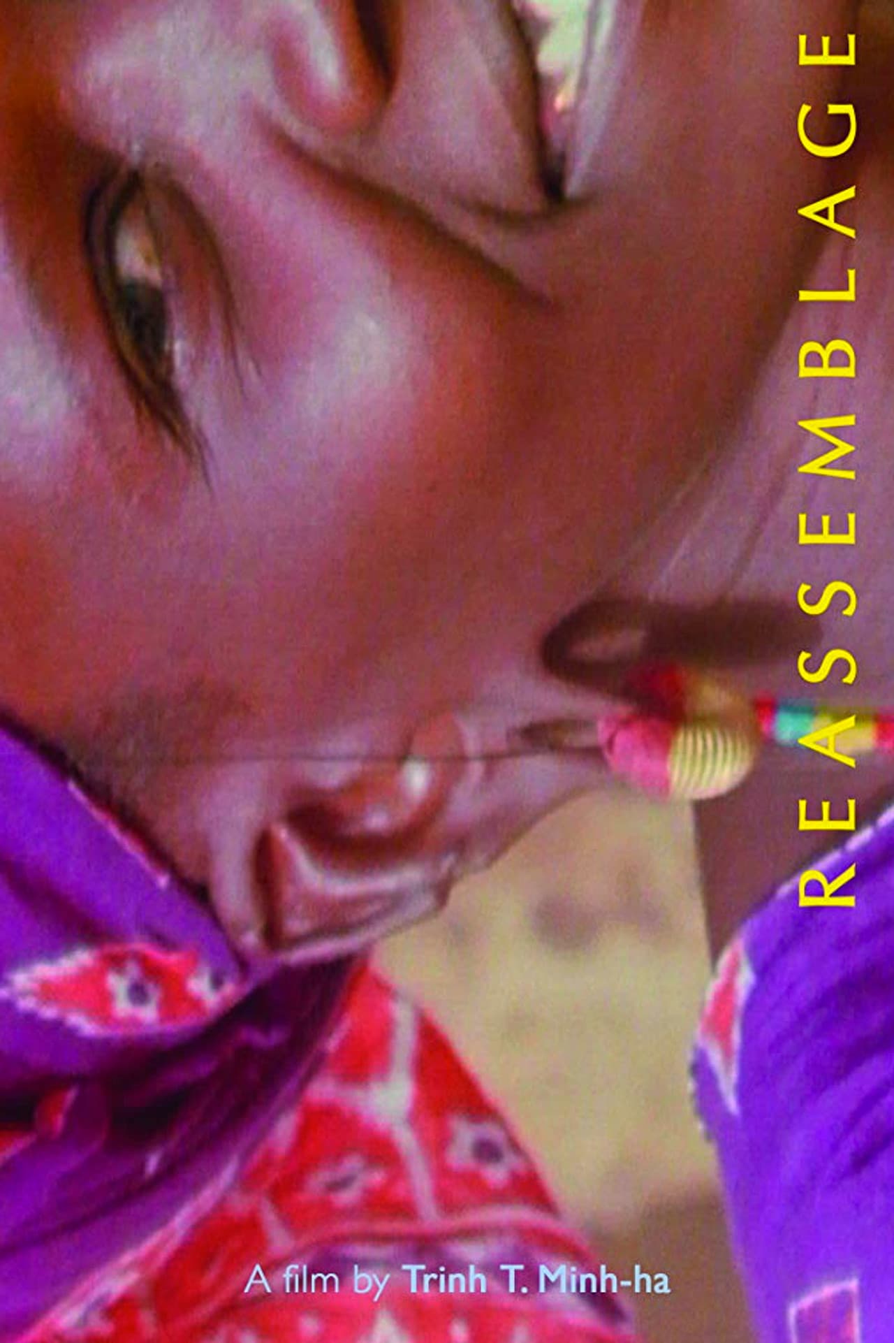 Reassemblage: From the Firelight to the Screen preview 1