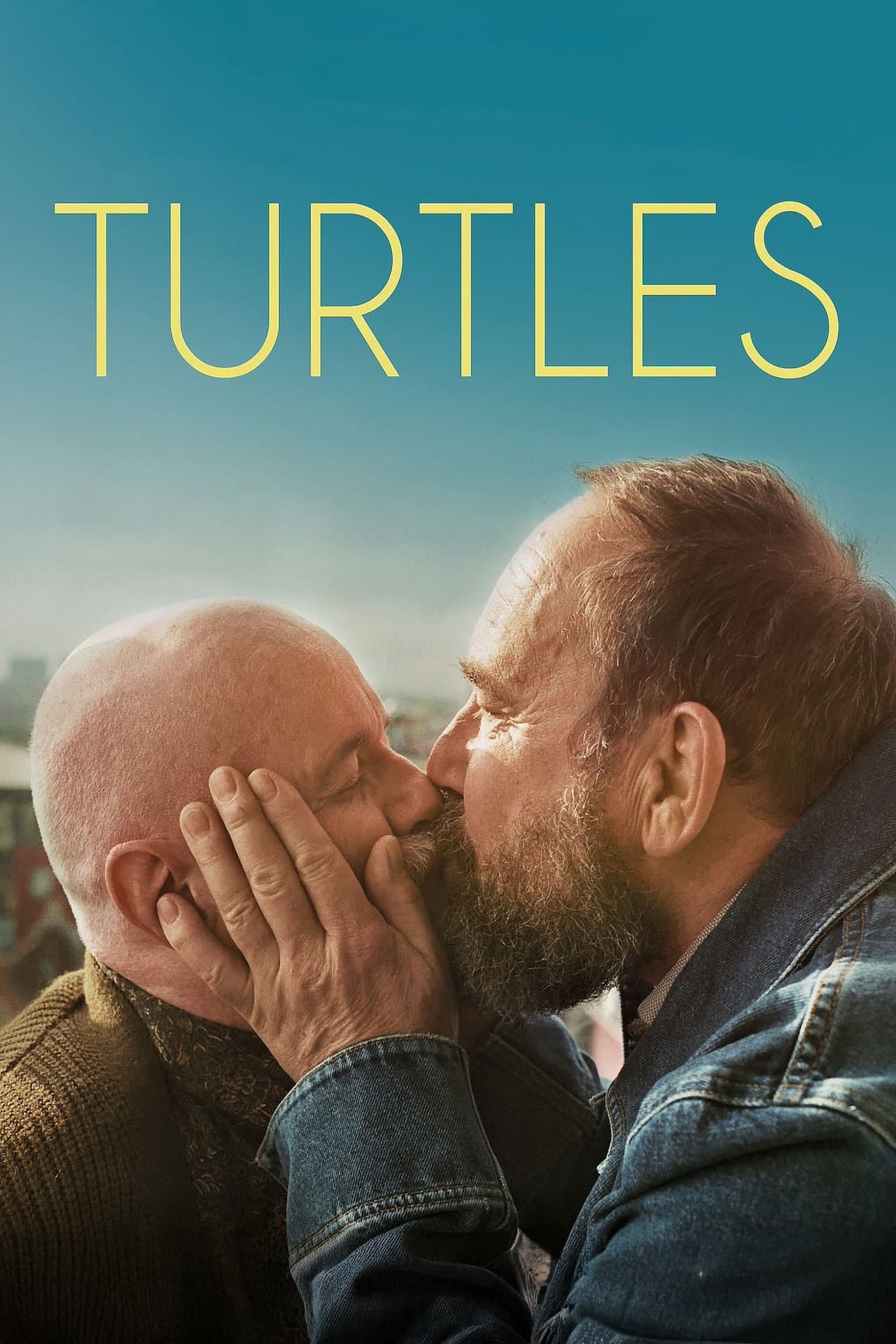 Turtles preview 2