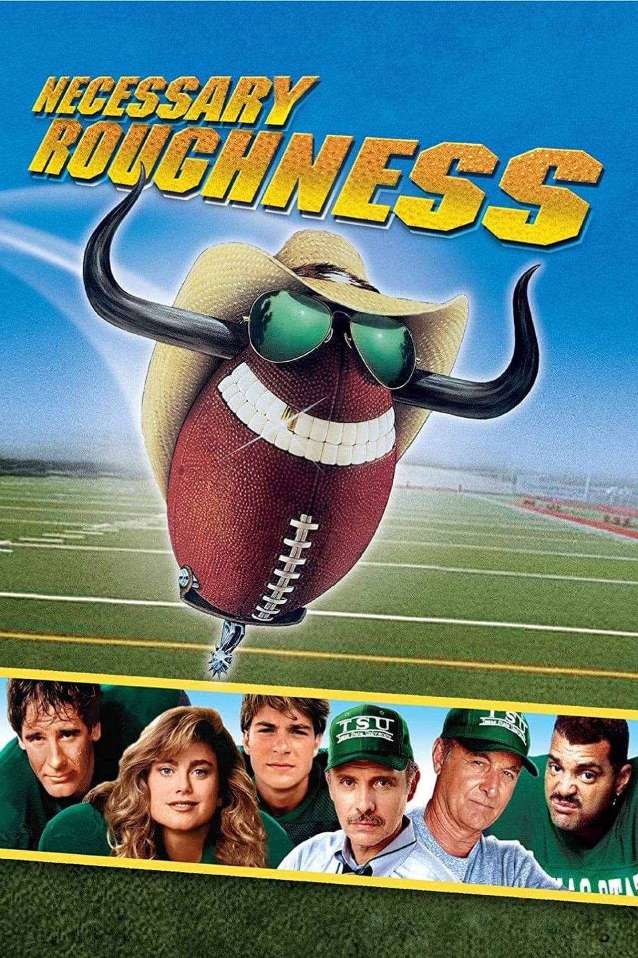 Necessary Roughness preview 2