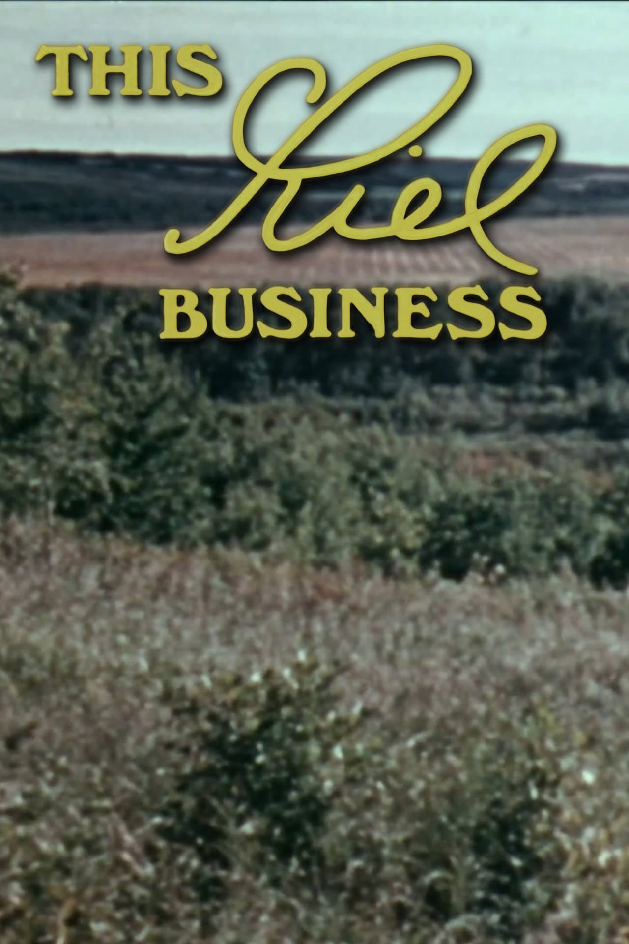 This Riel Business preview 2