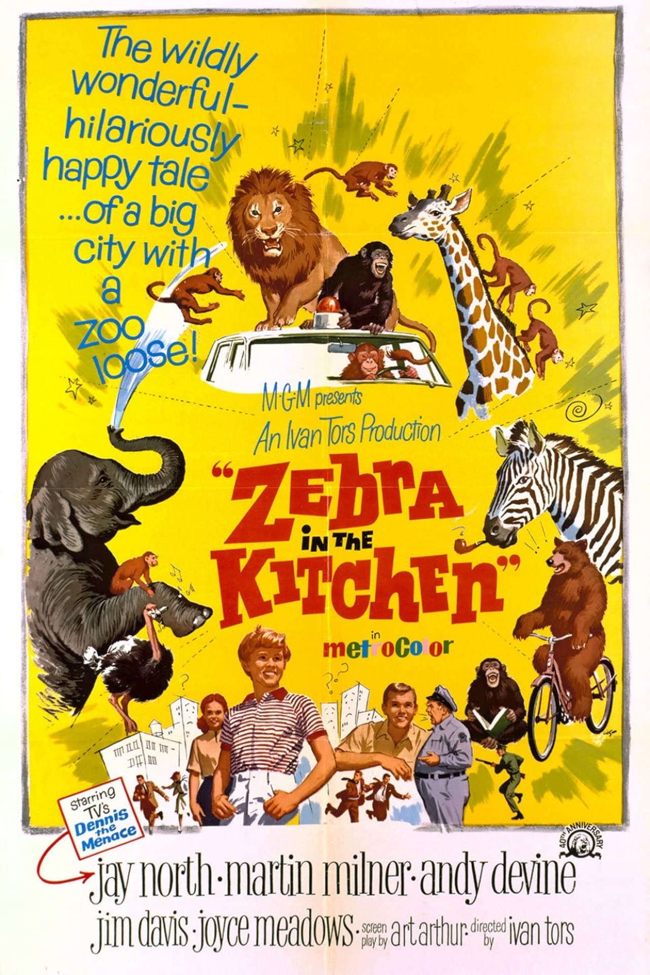 Zebra in the Kitchen preview 2