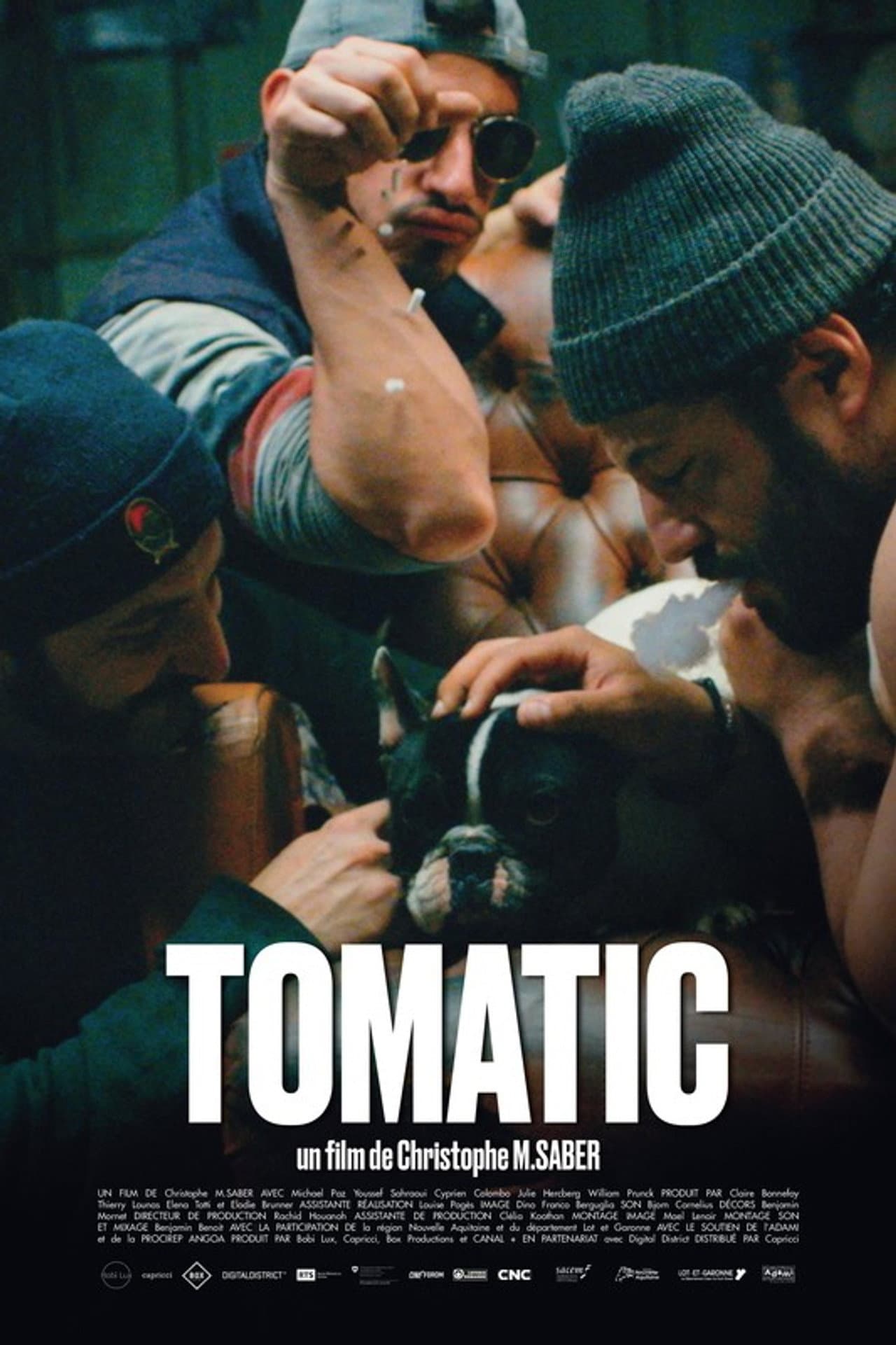 Tomatic preview 1