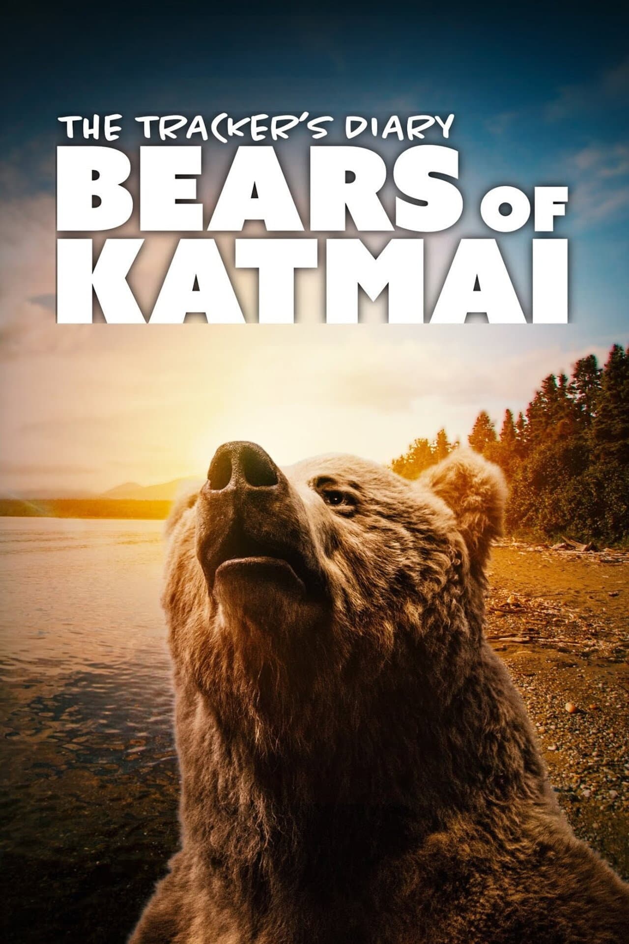 The Tracker's Diary: Bears of Katmai preview 1