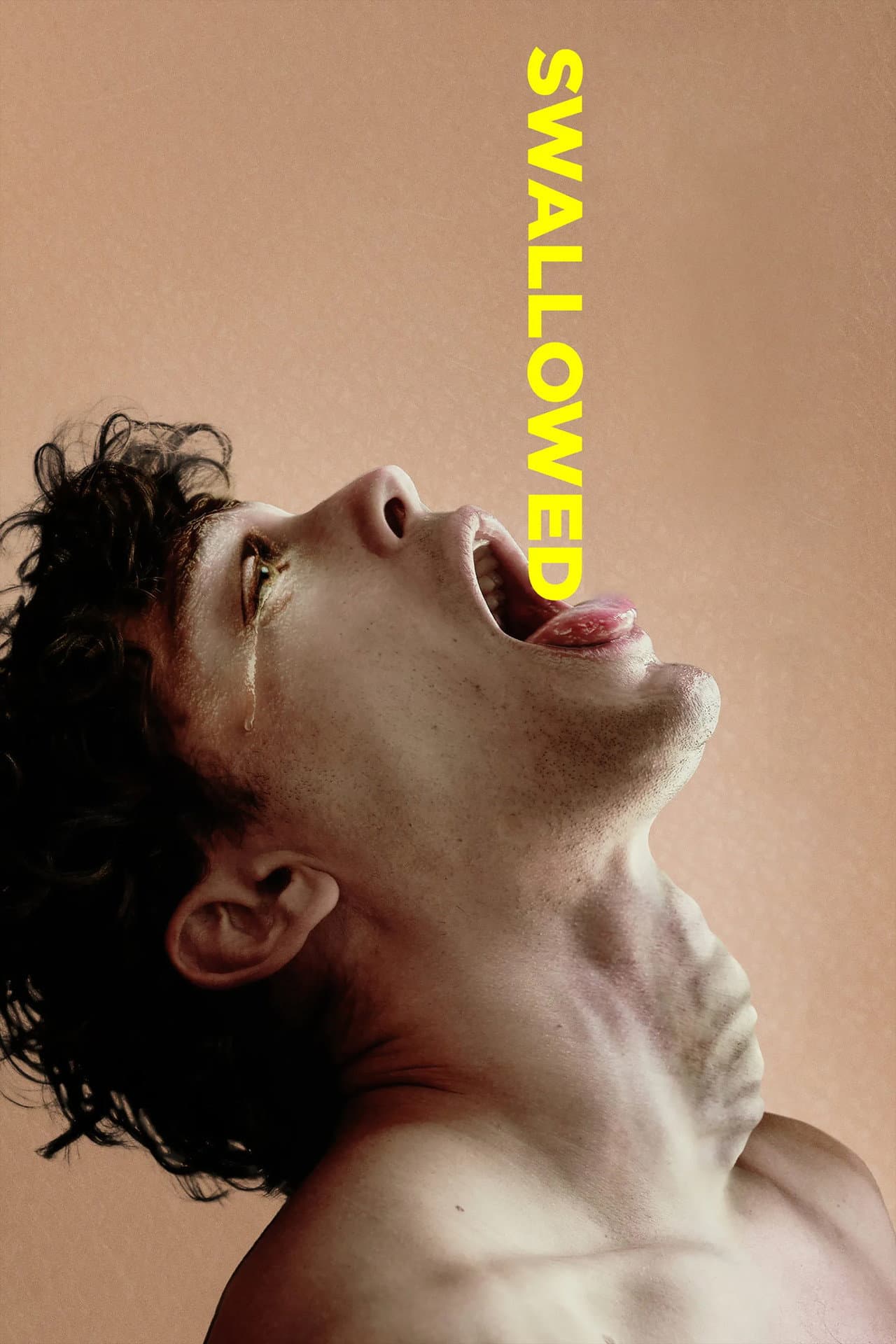 Swallowed preview 2
