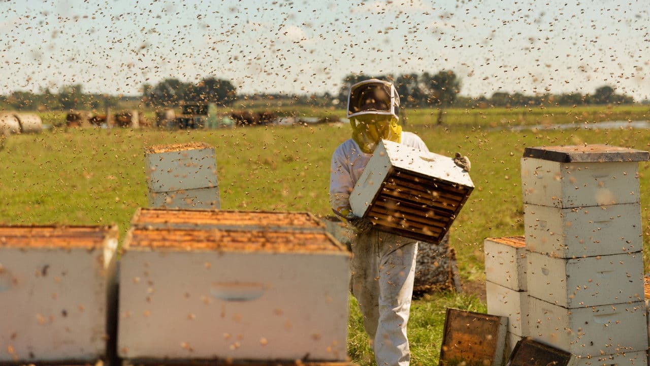 The Pollinators