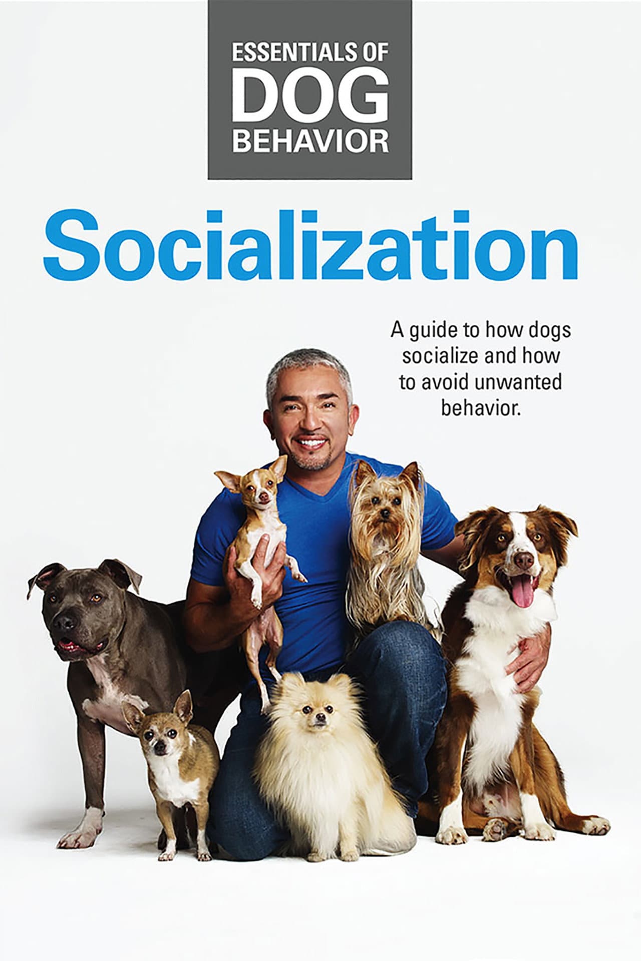 Essentials of Dog Behavior: Socialization preview 1