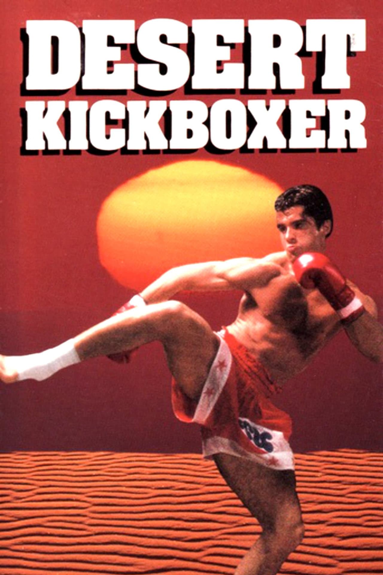 Desert Kickboxer preview 2