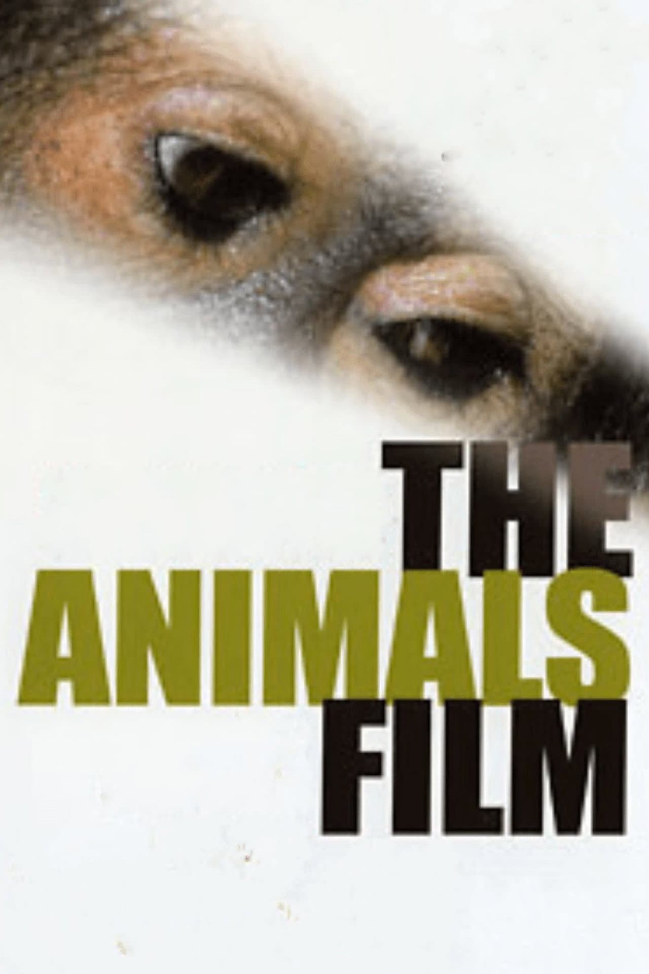 The Animals Film preview 1