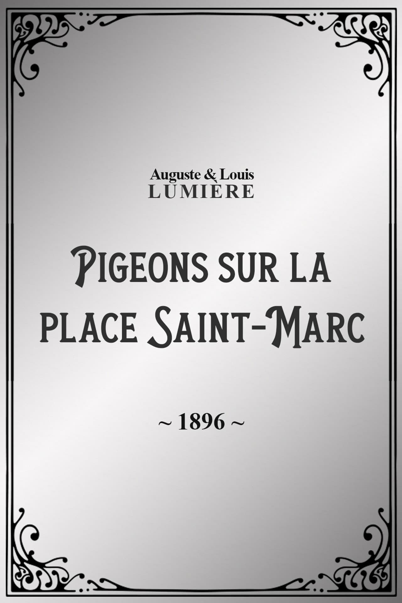 Pigeons sur la place Saint-Marc preview 2
