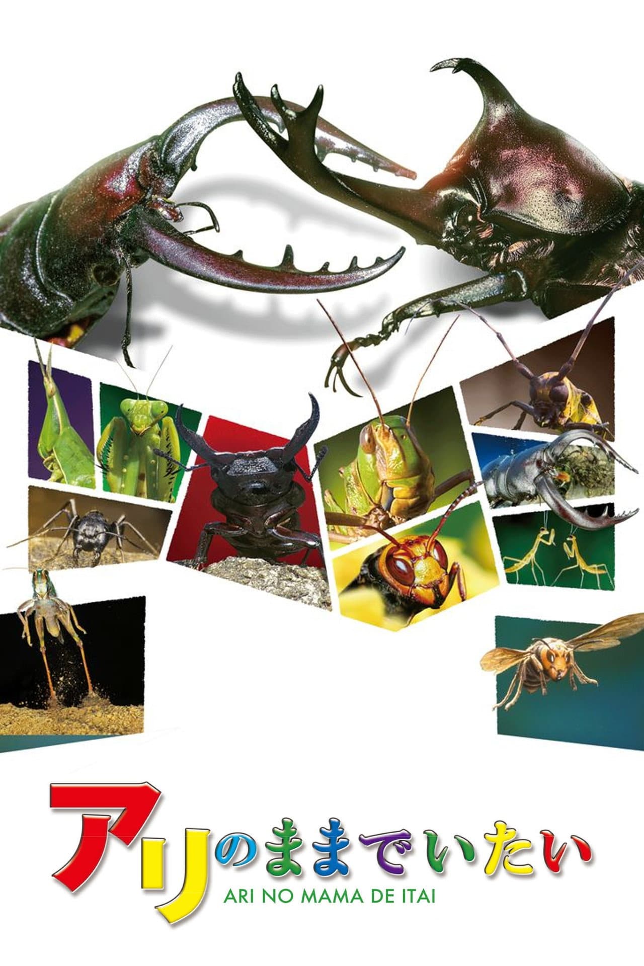 I Want to Stay an Ant preview 1