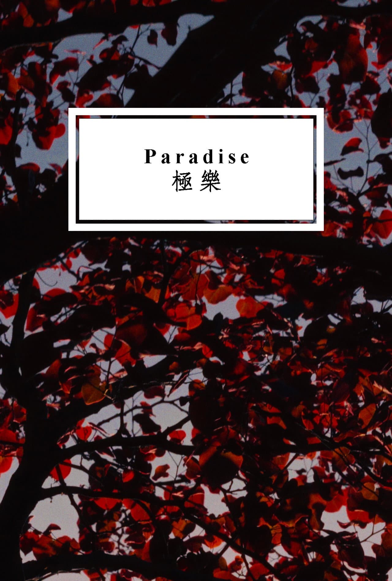 Paradise preview 1