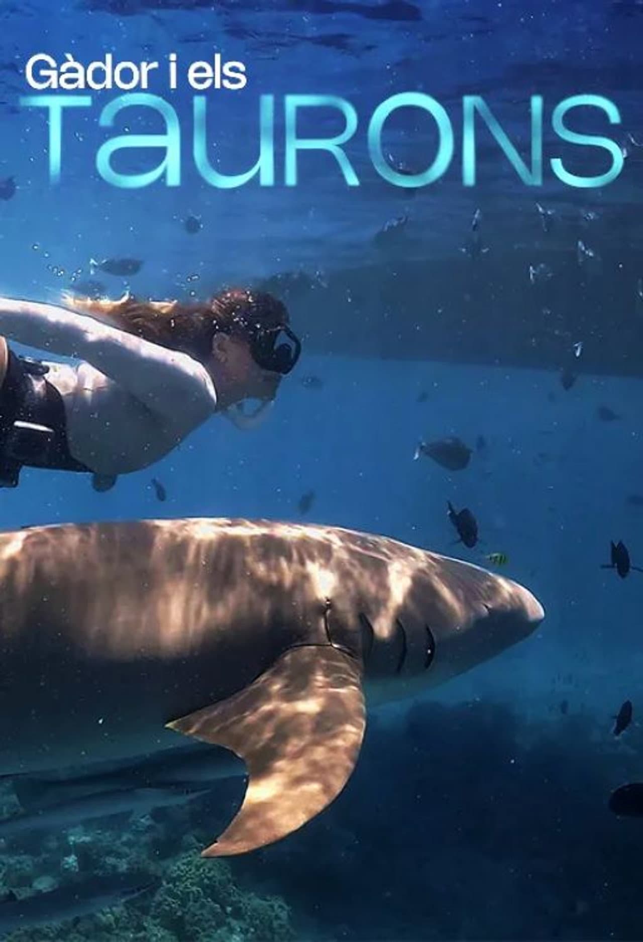 Gàdor i els taurons preview 2