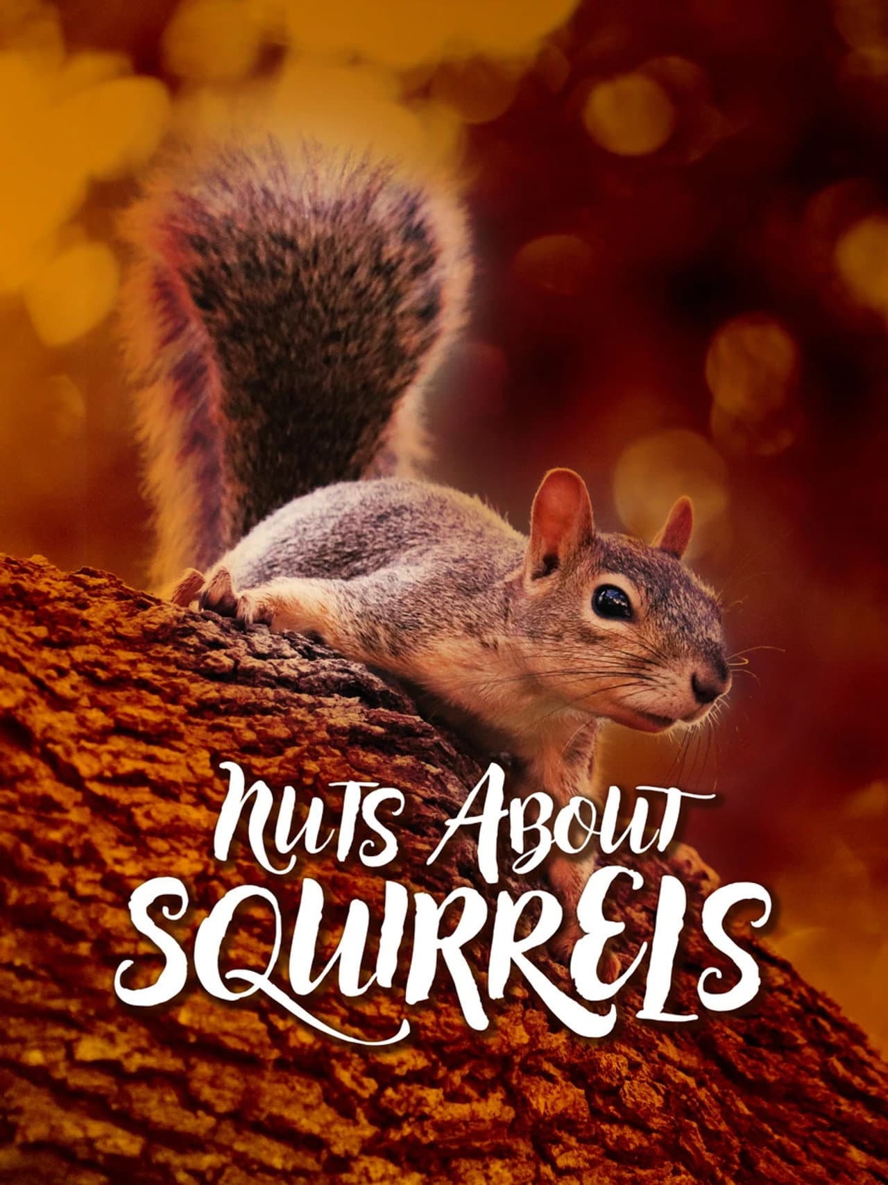 Nuts About Squirrels preview 1