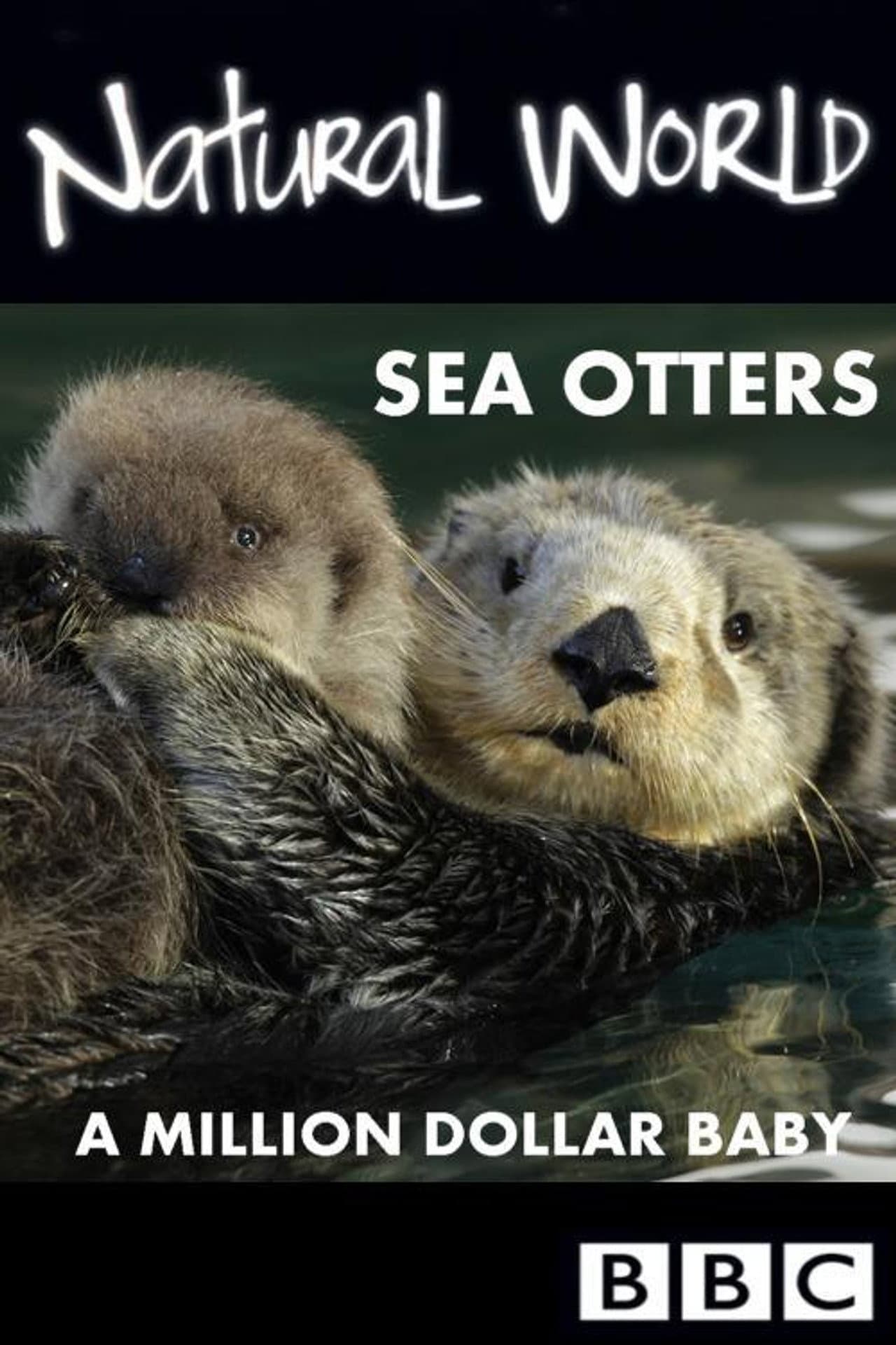 Sea Otters: A Million Dollar Baby preview 1