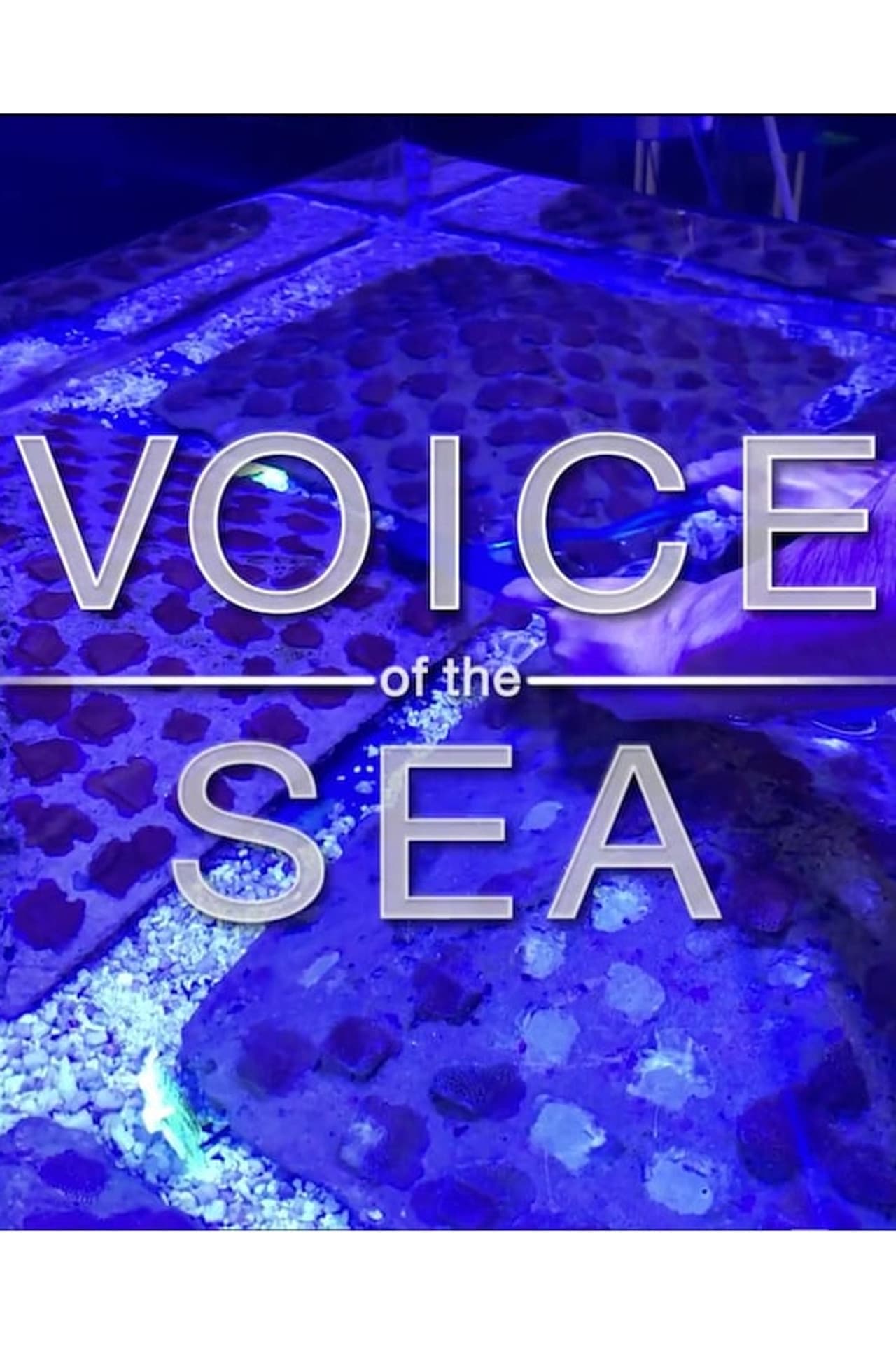Voice of the Sea preview 2