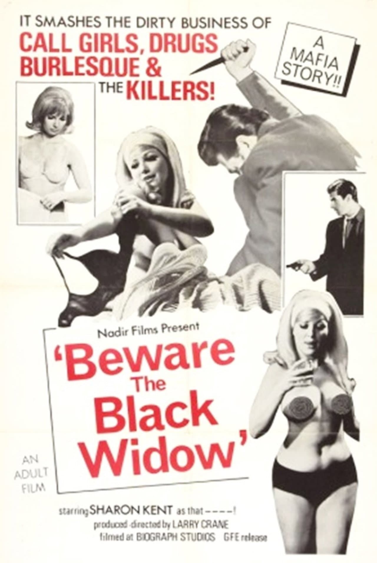 Beware the Black Widow preview 2