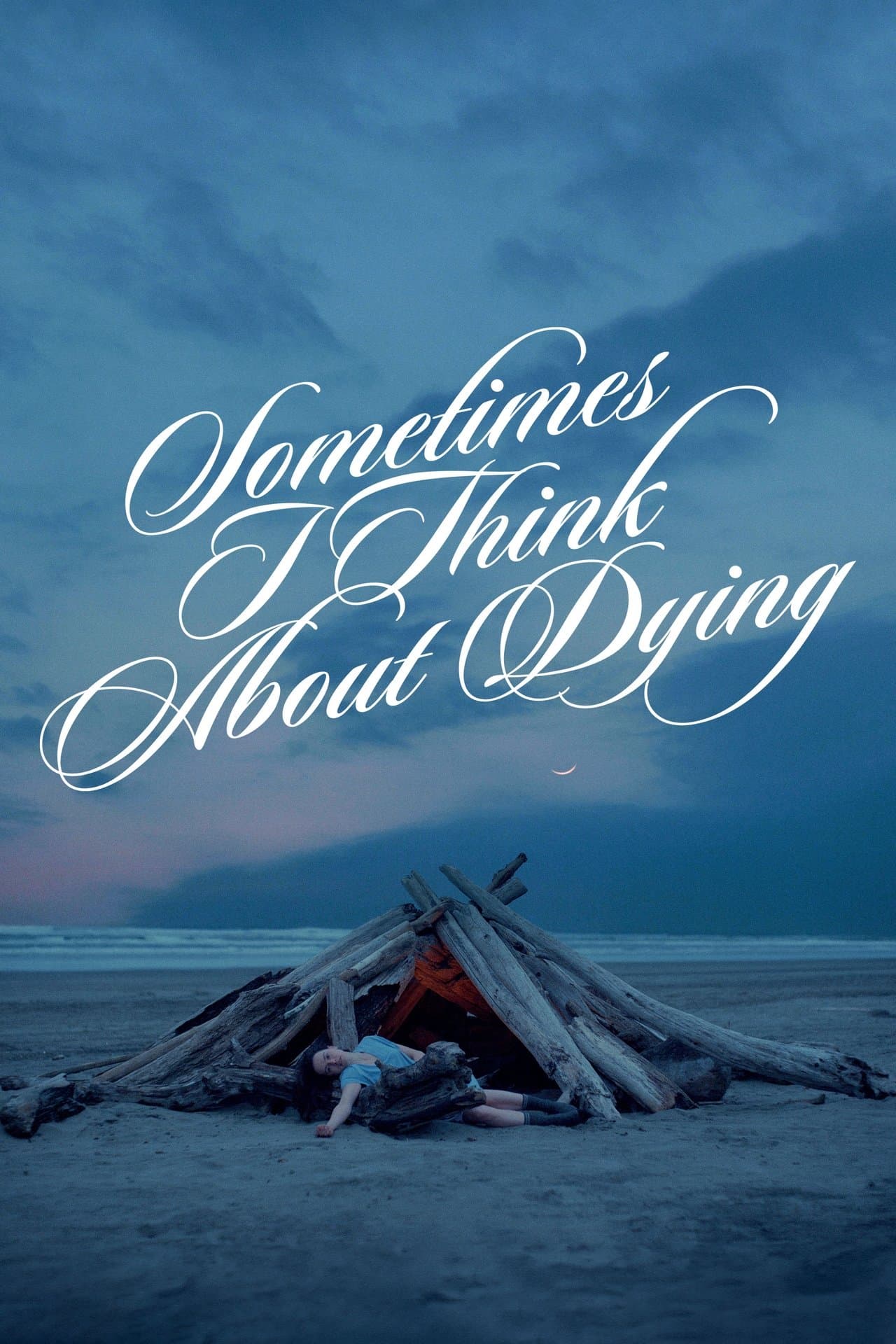 Sometimes I Think About Dying preview 2
