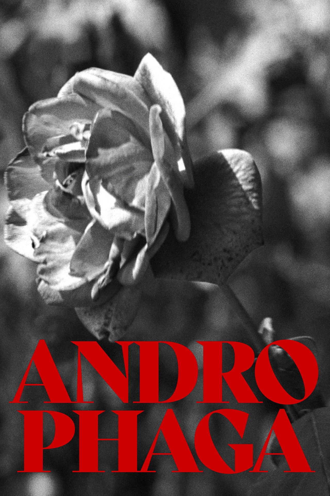 Androphaga preview 2