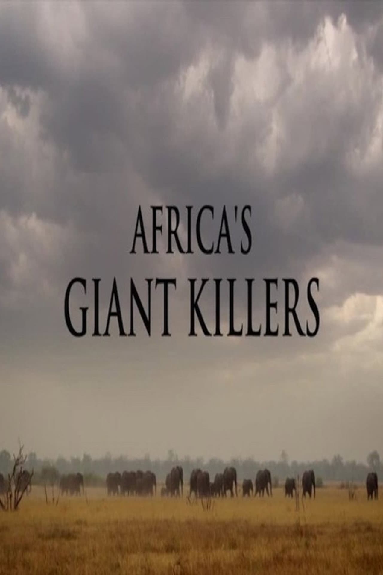 Africa's Giant Killers preview 2