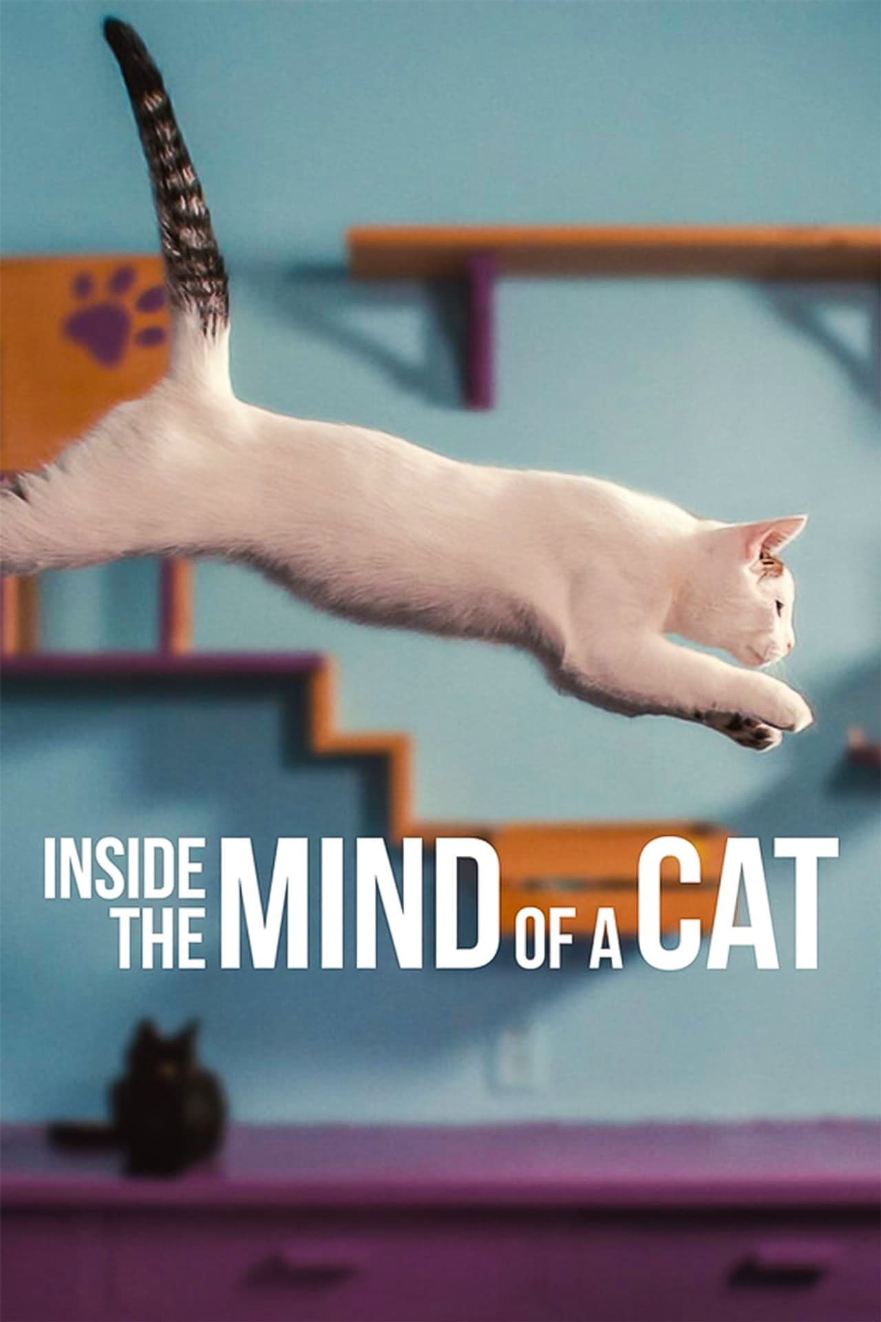Inside the Mind of a Cat preview 2