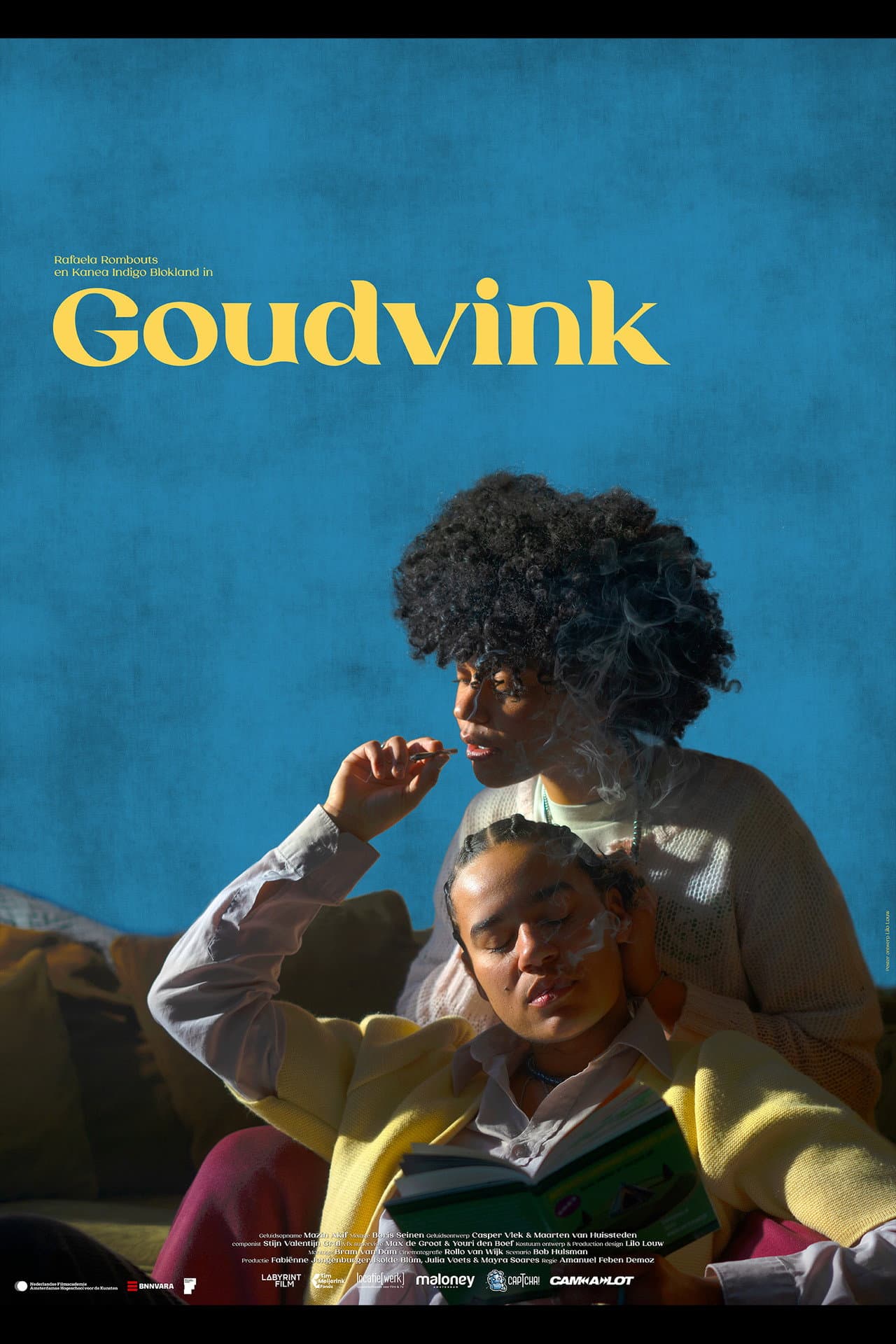 Goudvink preview 2