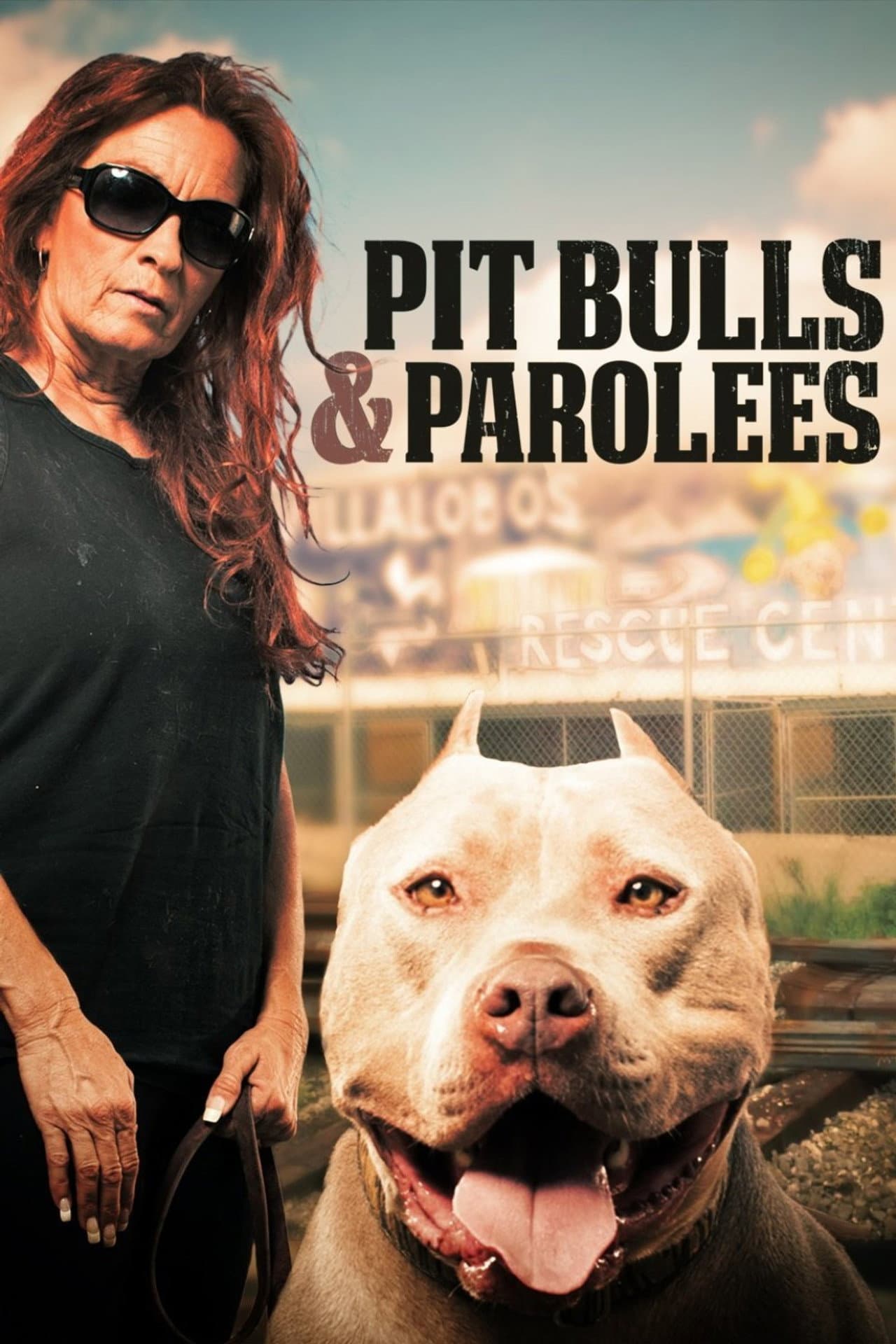 Pit Bulls and Parolees preview 2