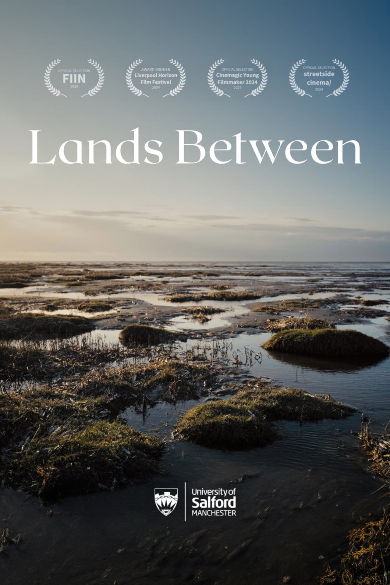 Lands Between preview 2