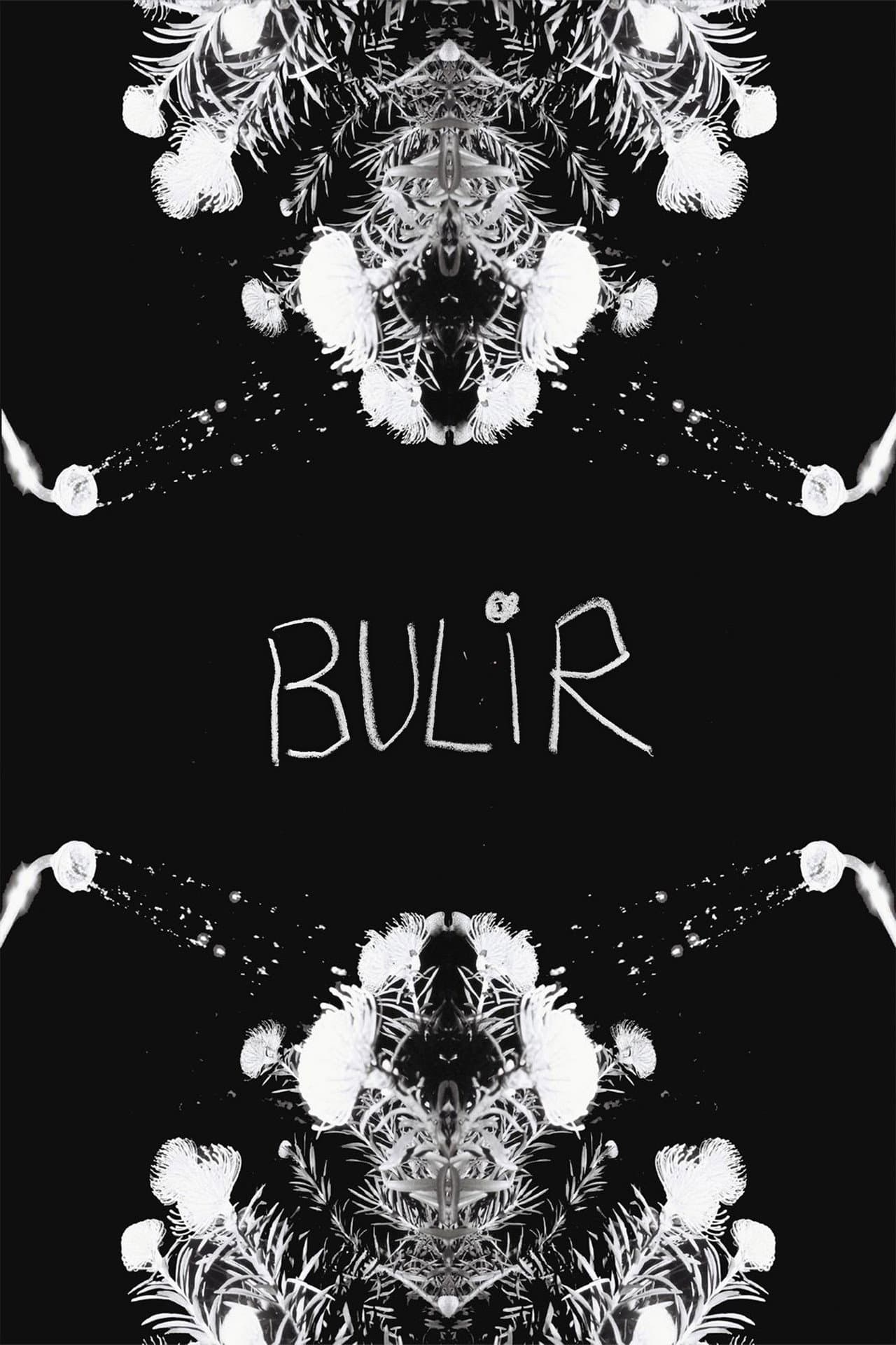 BULIR preview 1