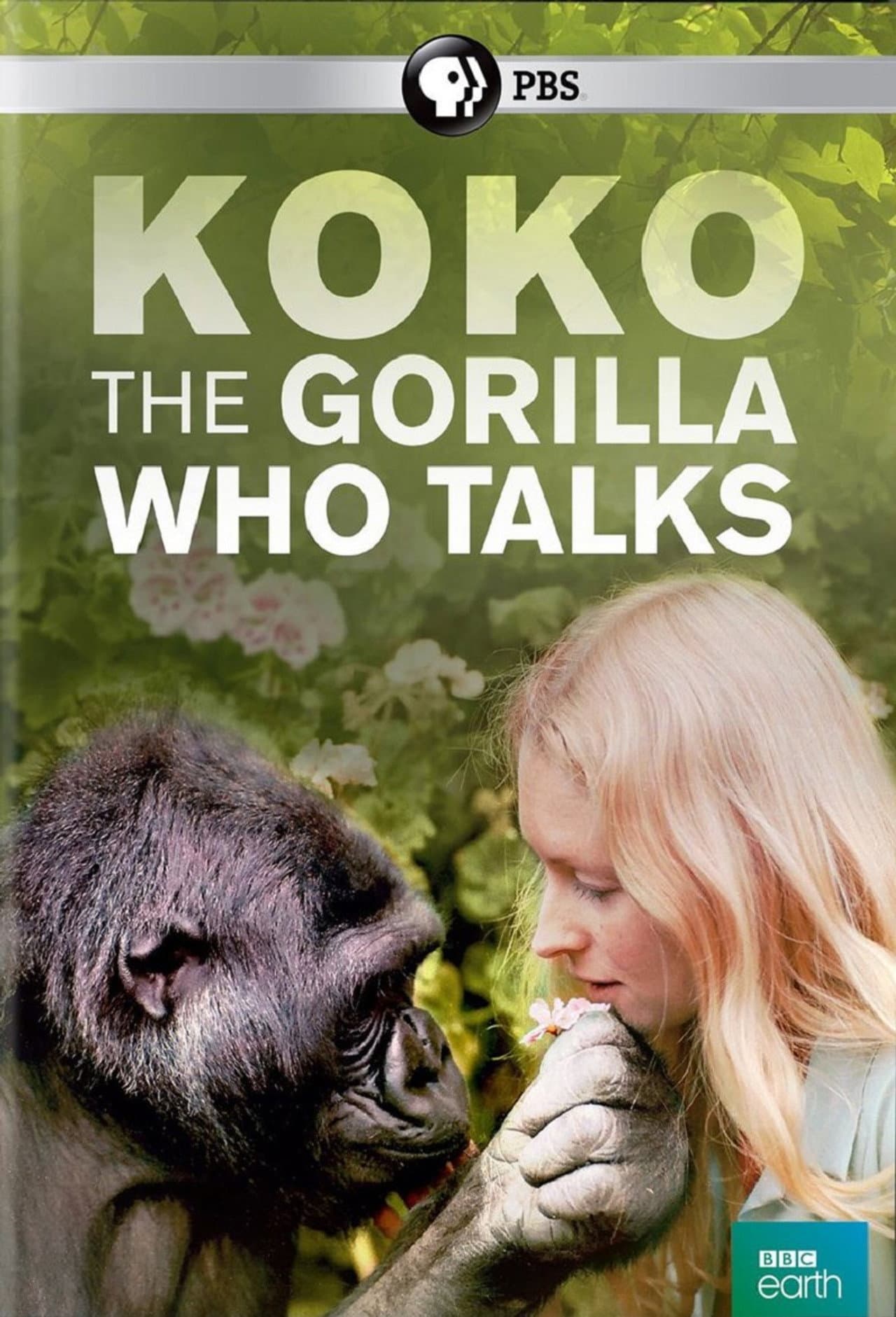 Koko: The Gorilla Who Talks to People preview 1