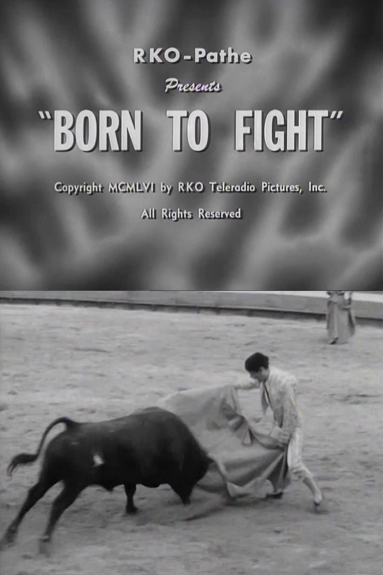 Born to Fight preview 2